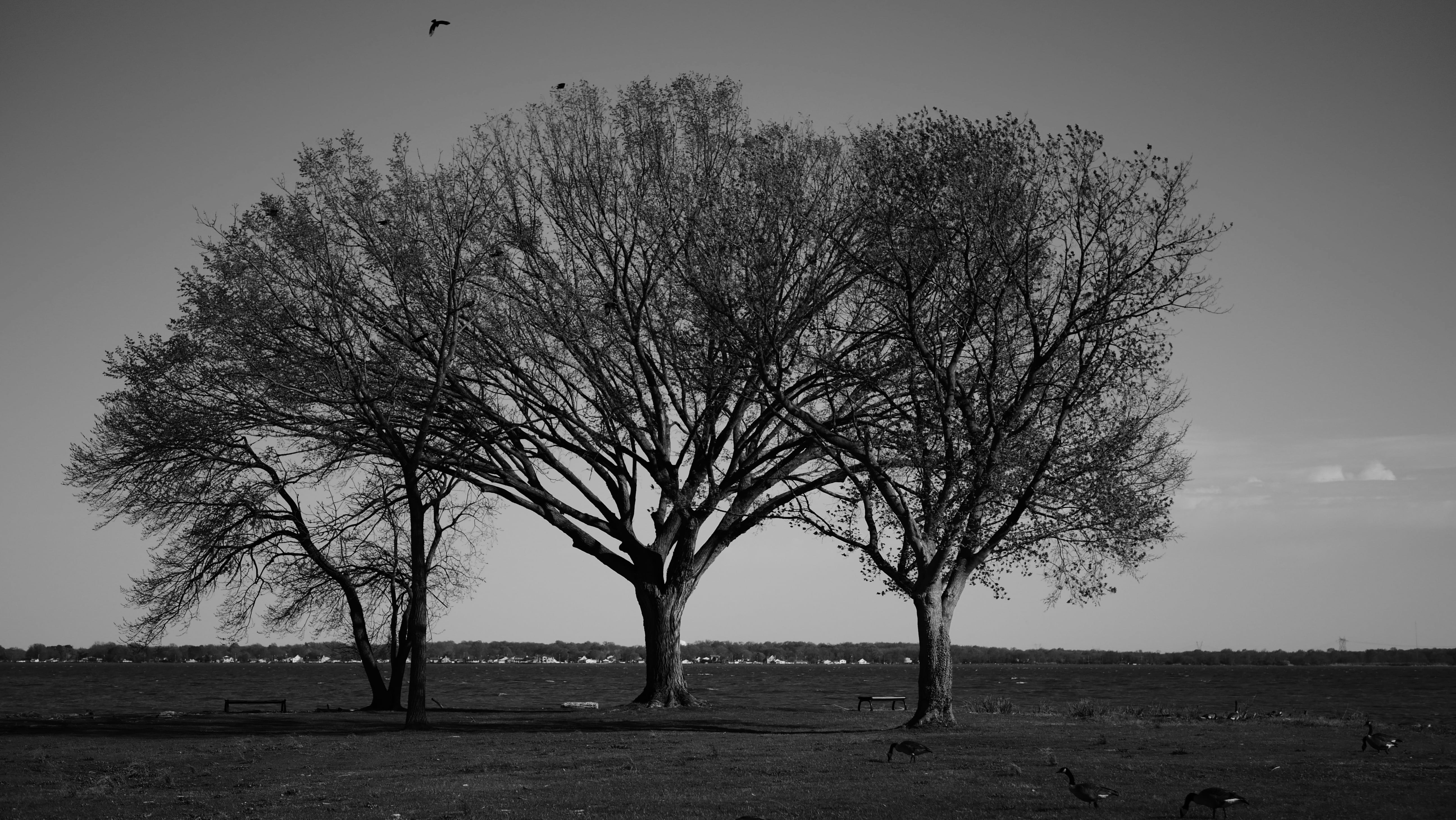 Photo by magicunsplash