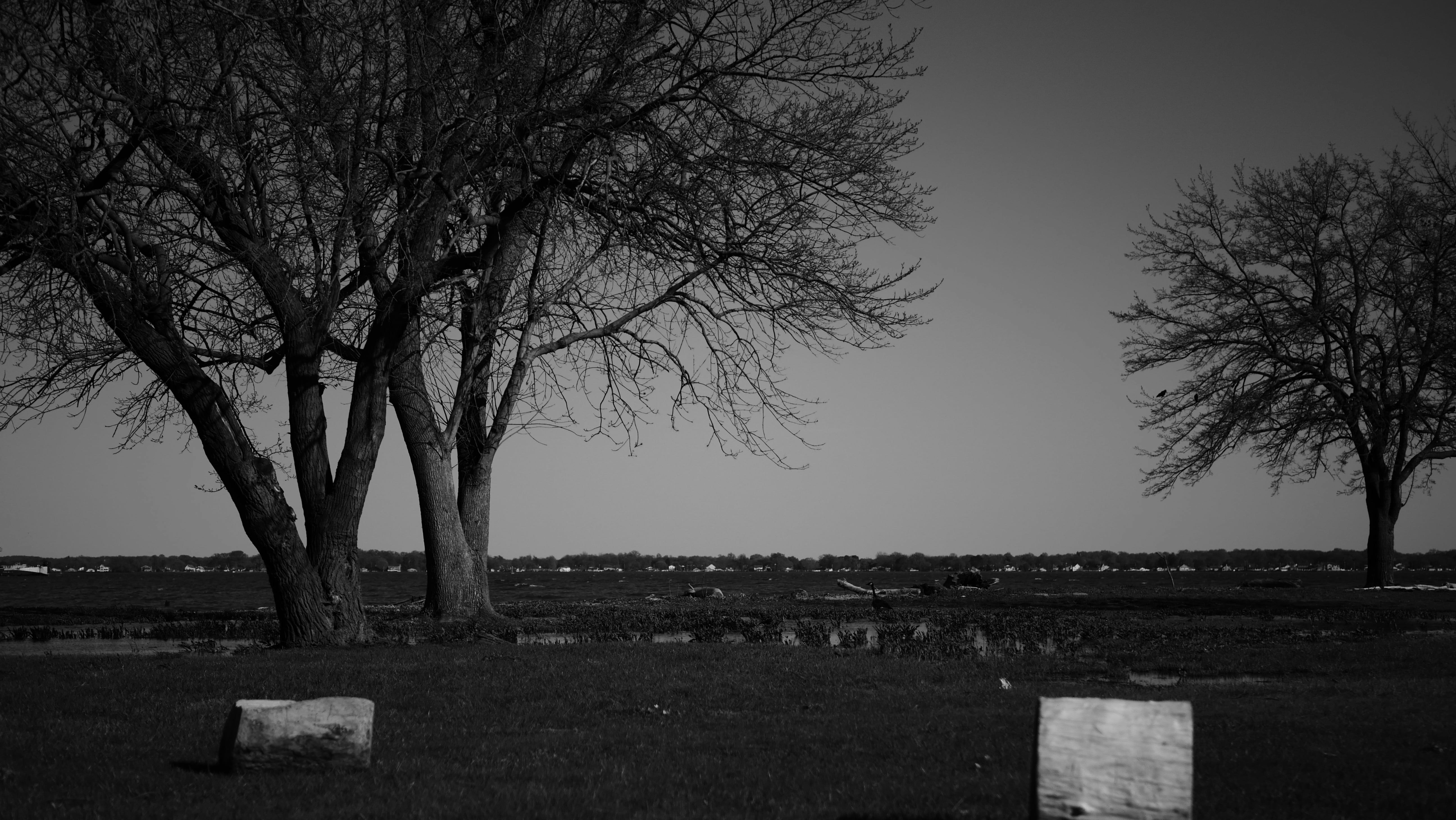 Photo by magicunsplash