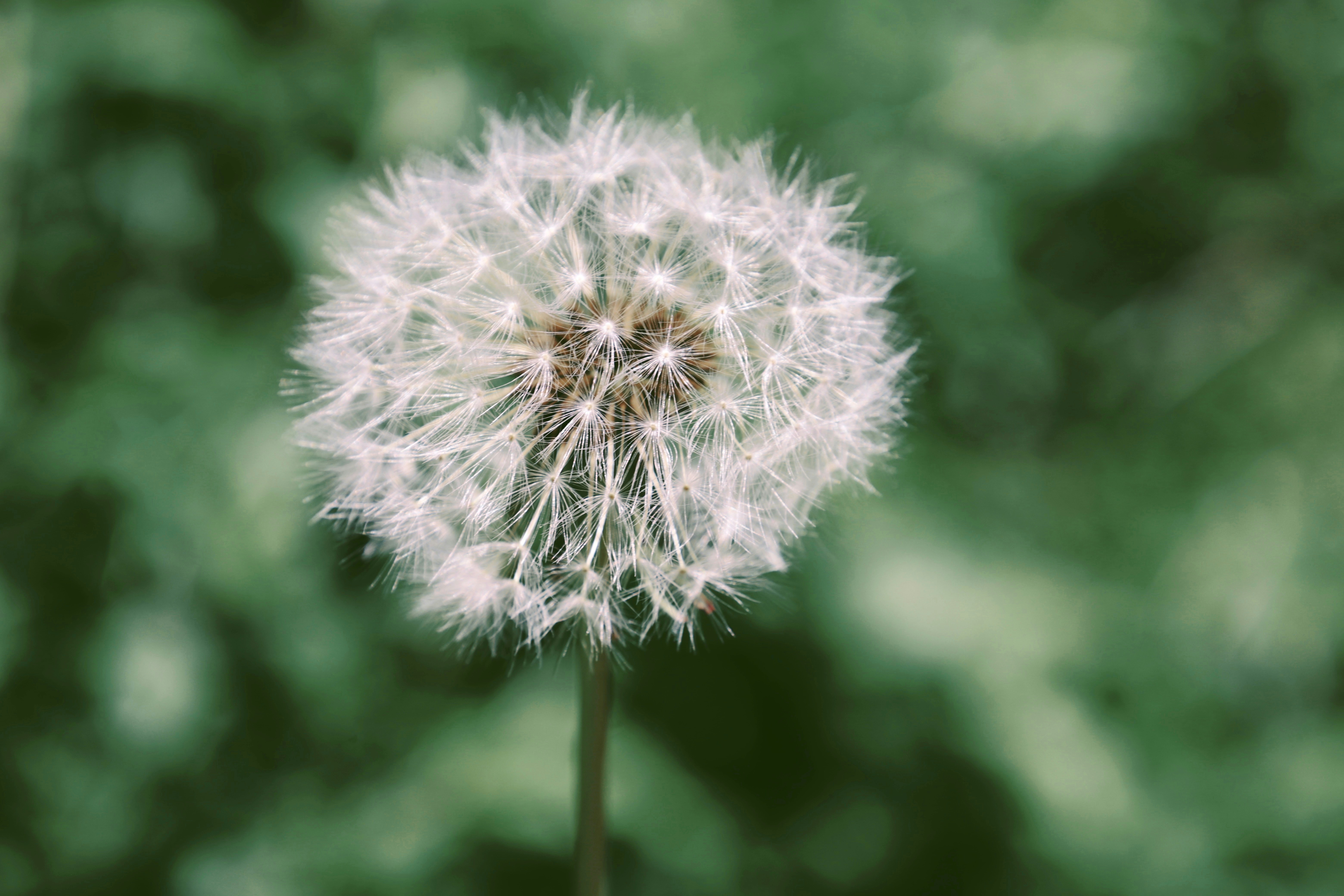 Photo by ananoelleeeee