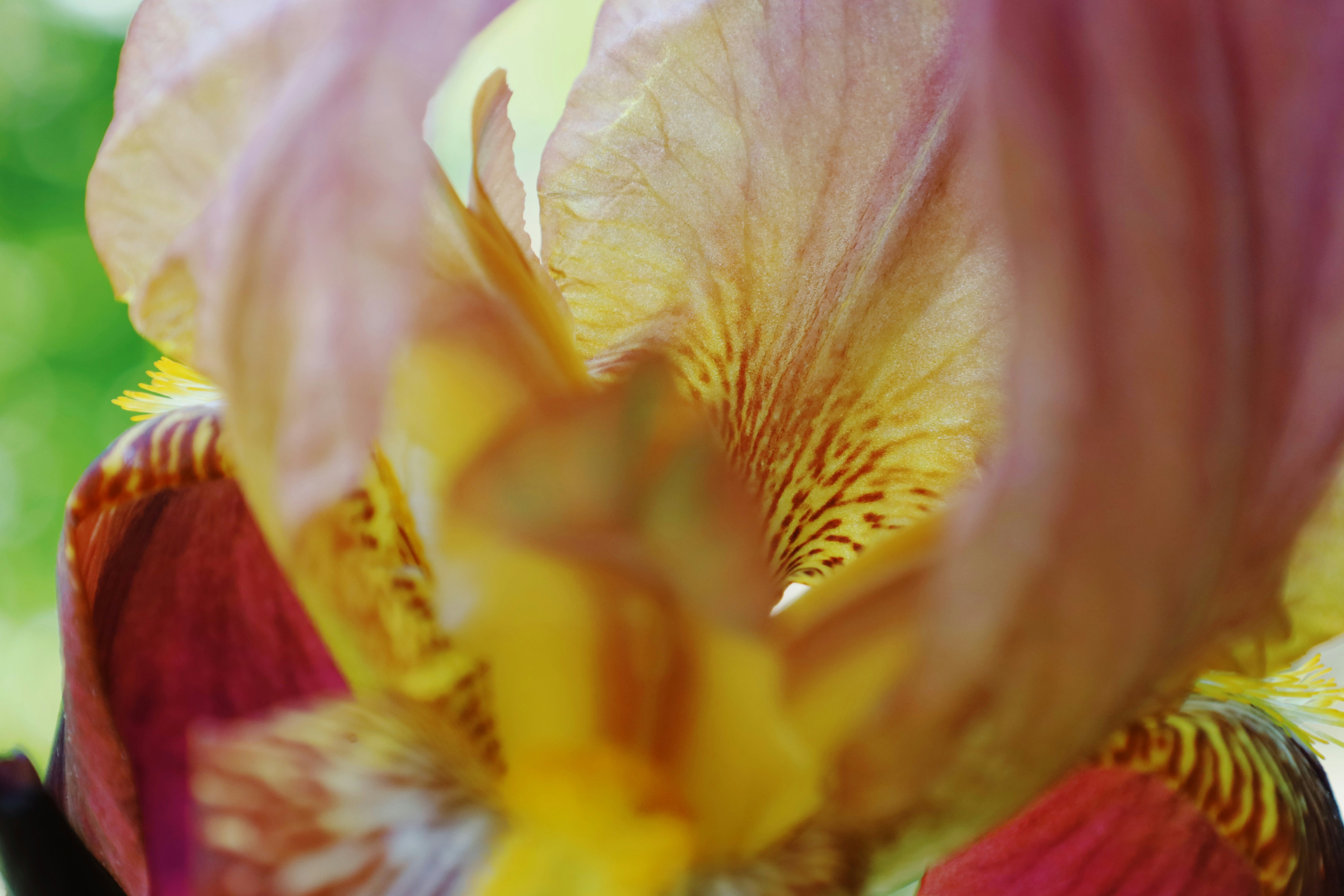 Photo by ananoelleeeee