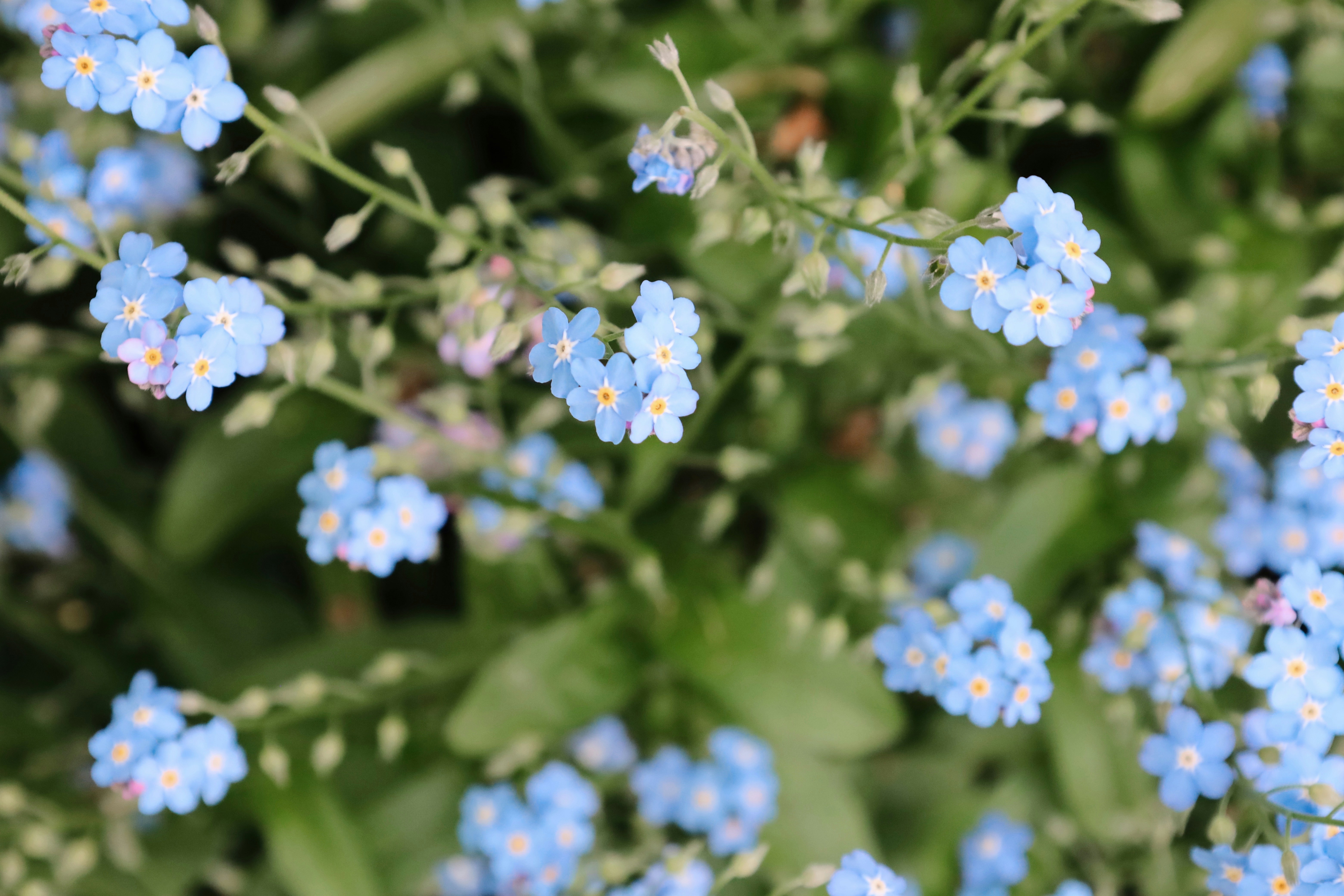 Photo by ananoelleeeee