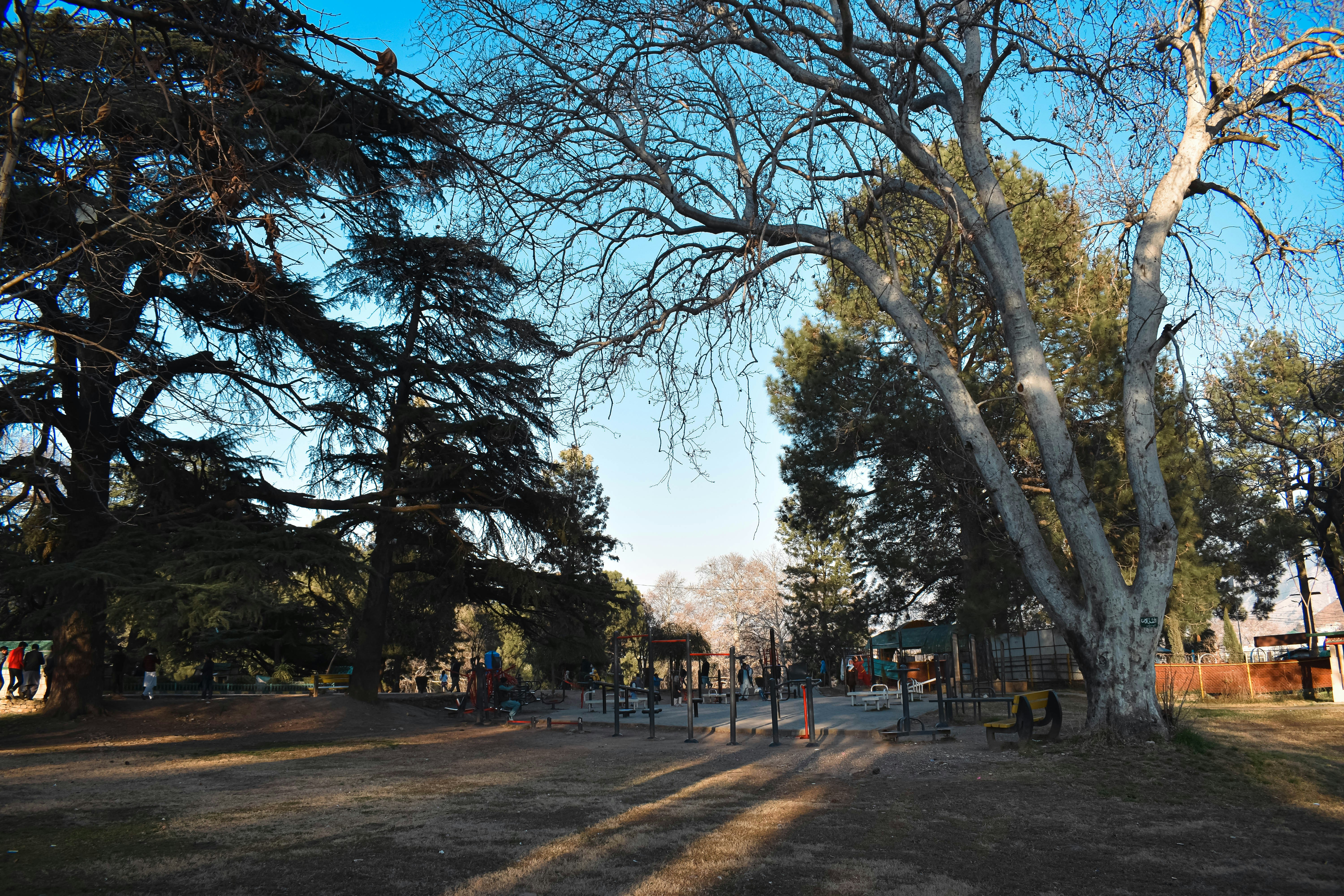 Photo by malicktaimoor