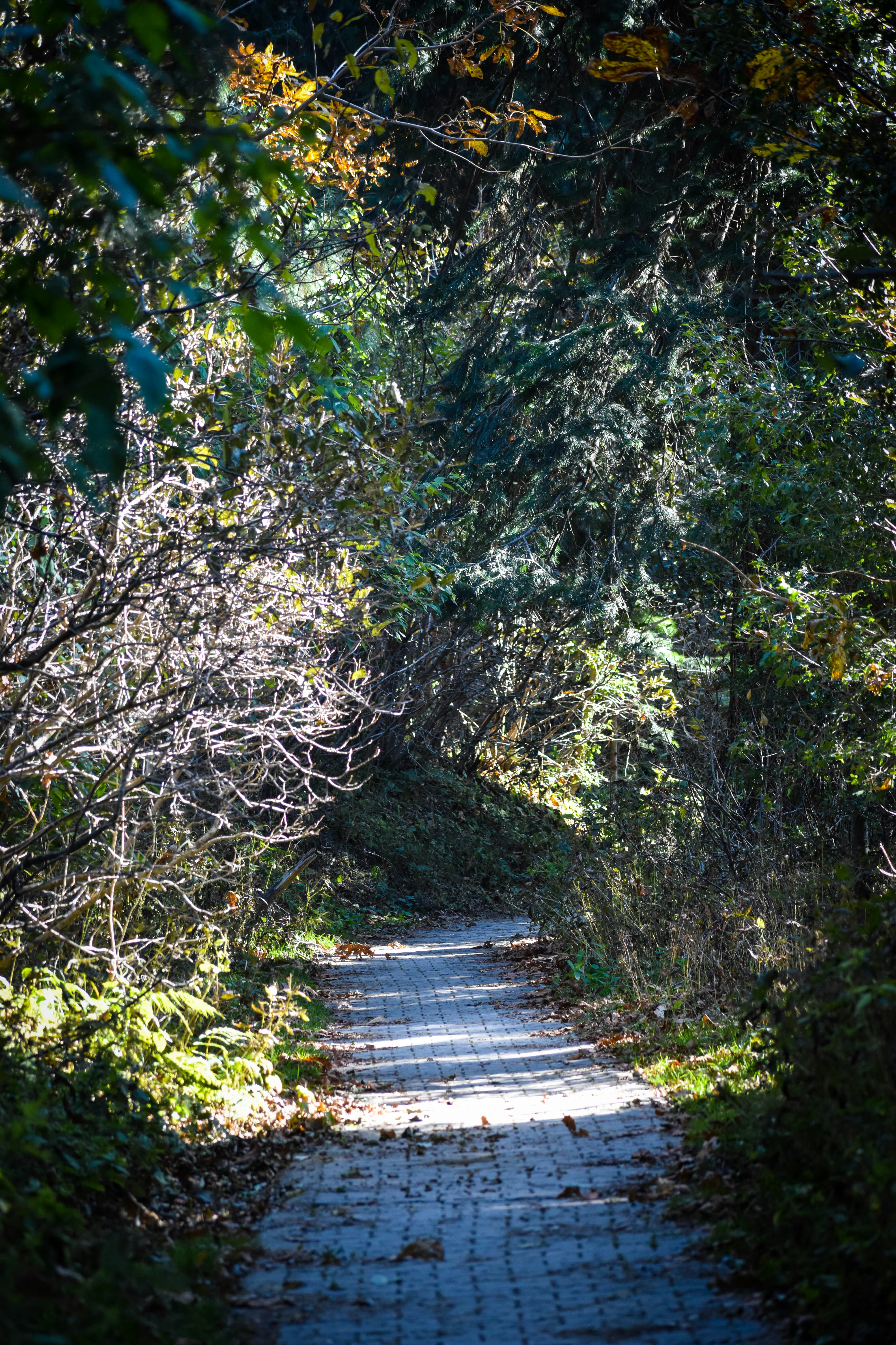 Photo by malicktaimoor