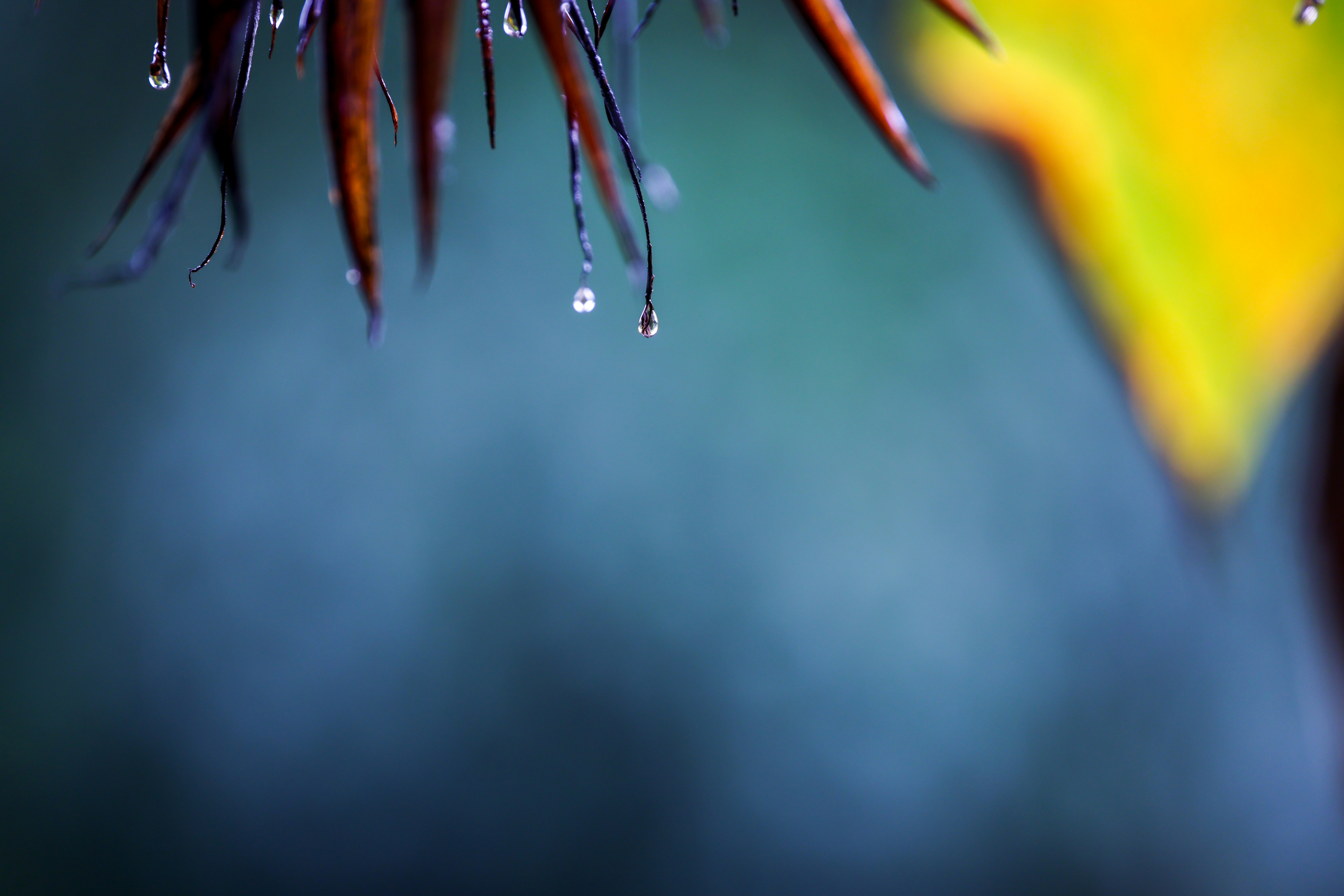 Photo by dickenslin76