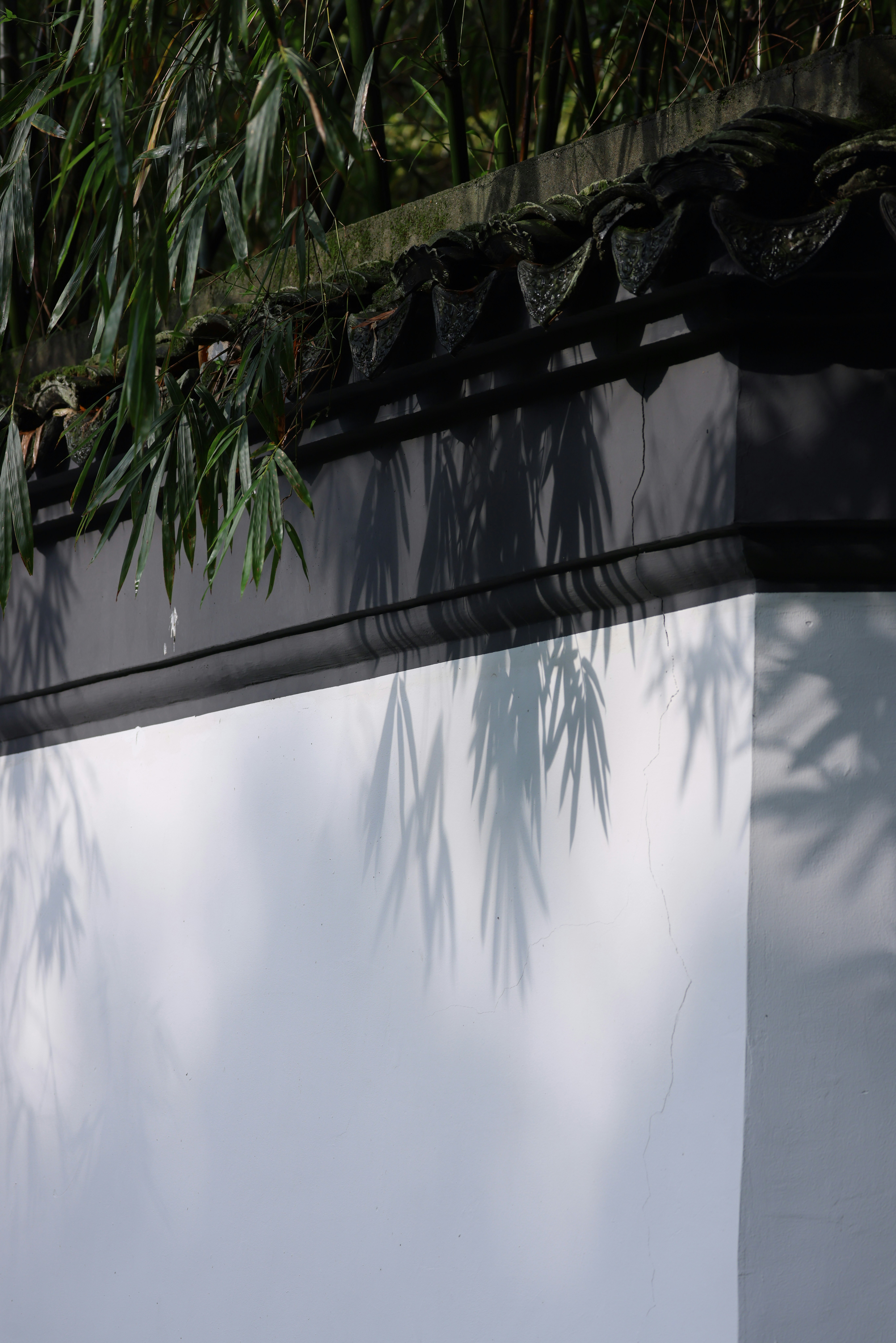 Photo by dickenslin76