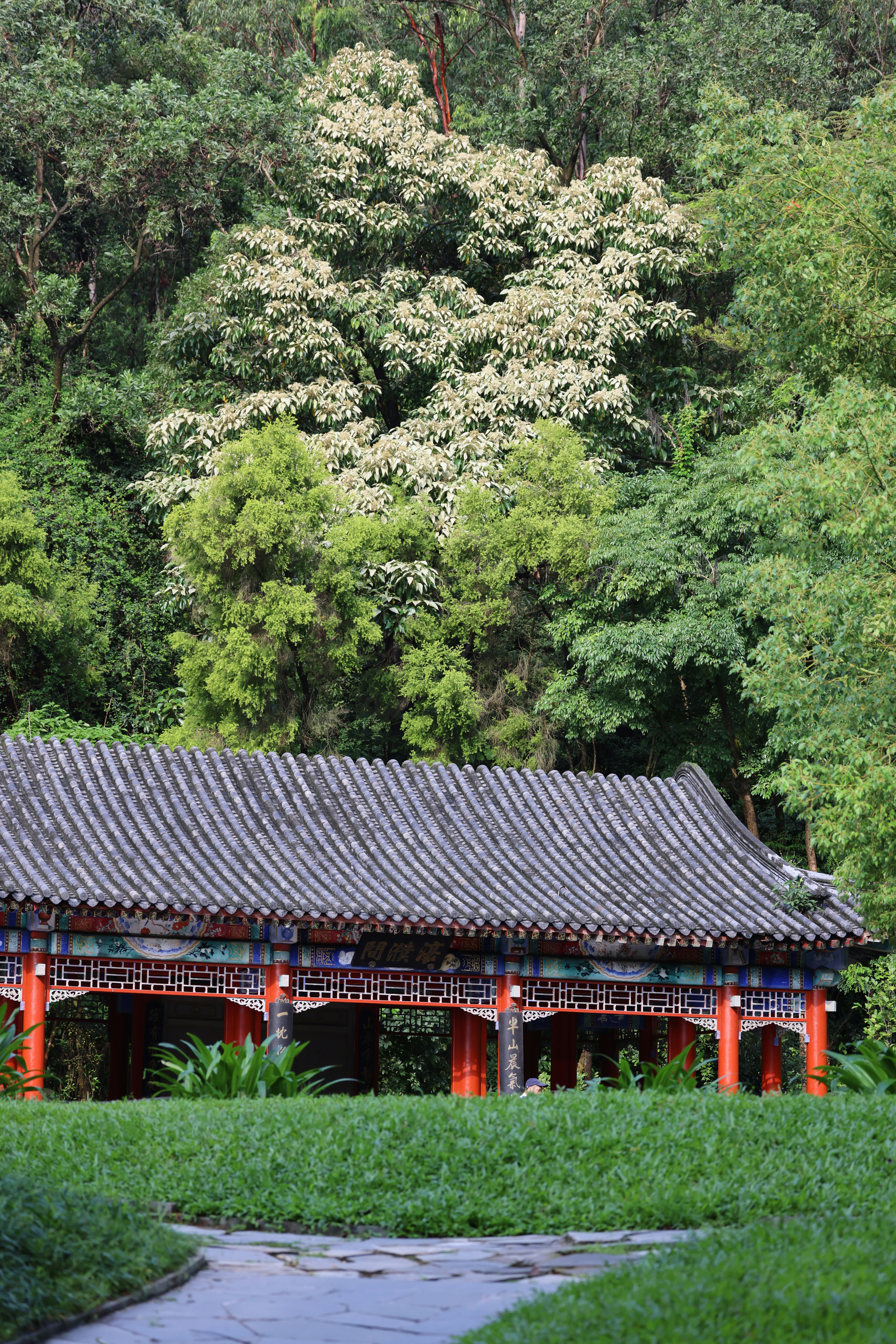 Photo by dickenslin76