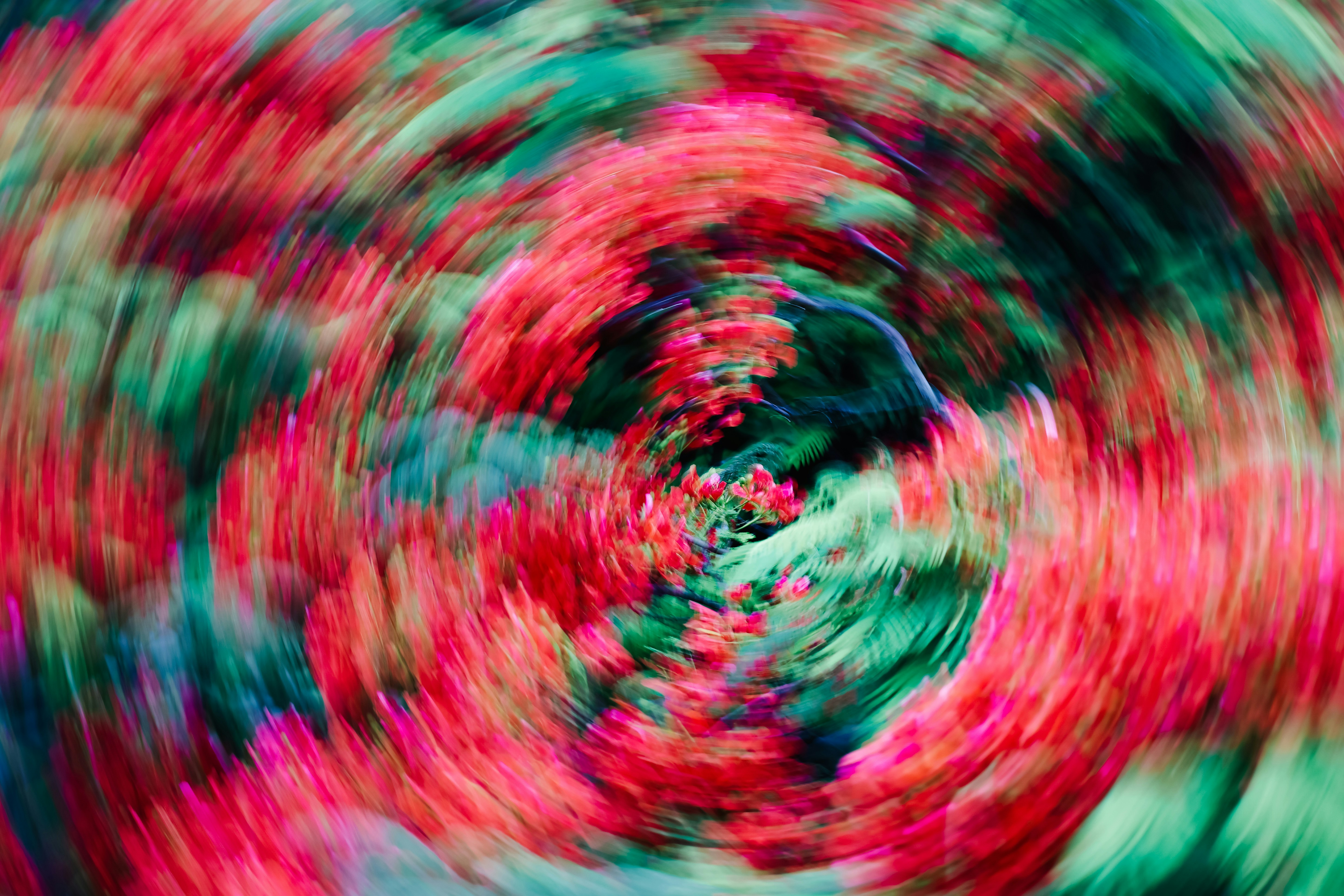 Photo by dickenslin76