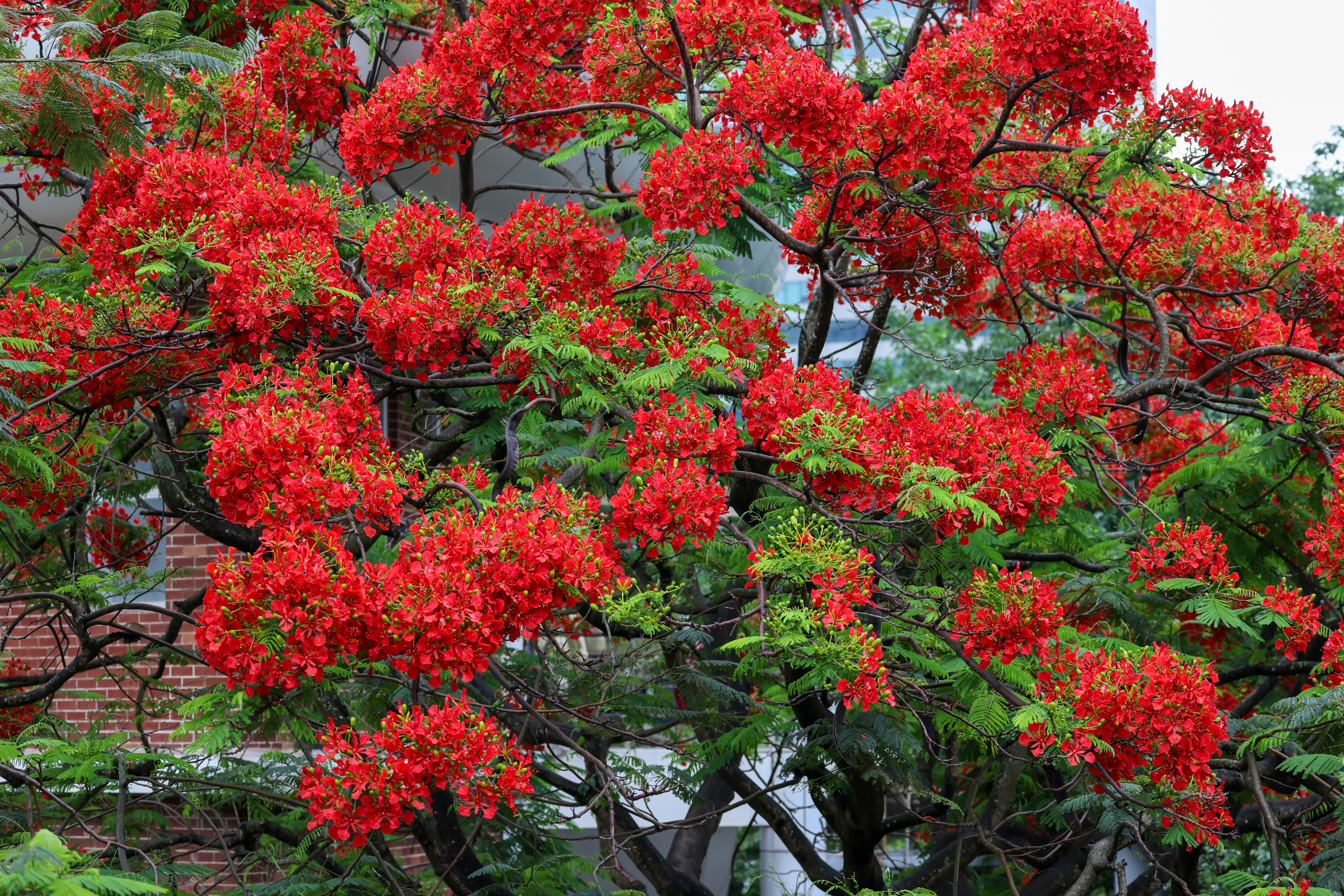 Photo by dickenslin76