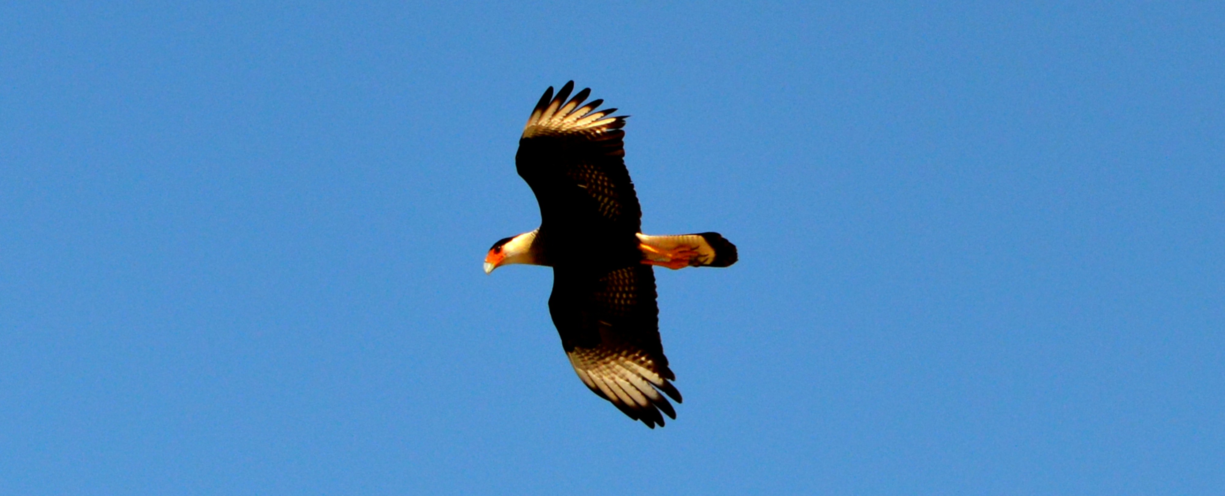 Digital Sovereignty: Breaking Free from Vendor Lock-in Without Sacrificing Security or Usability