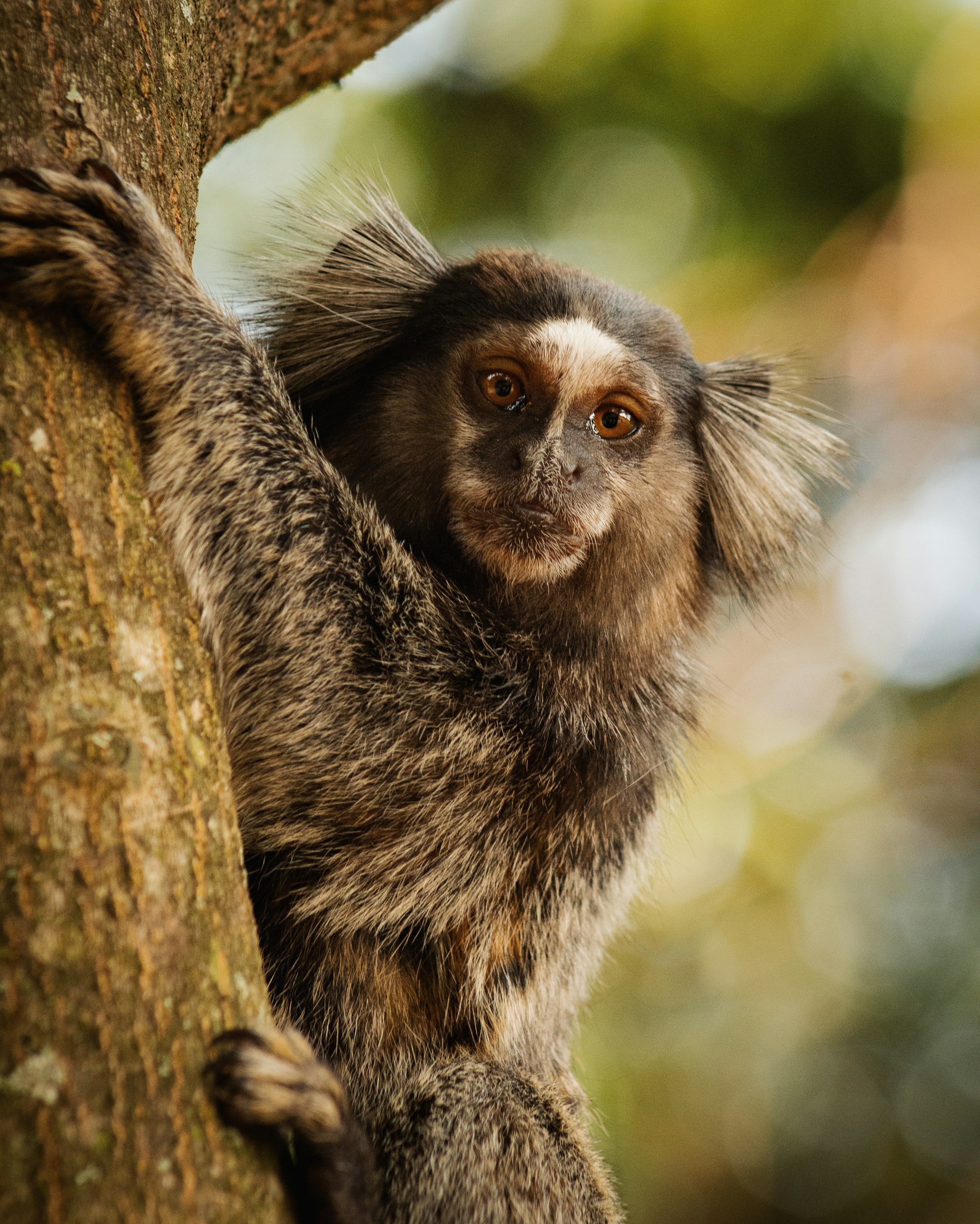 Photo by lucasdalamartaphoto