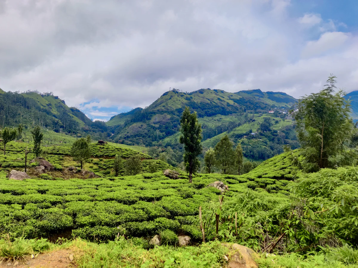 Panchgani