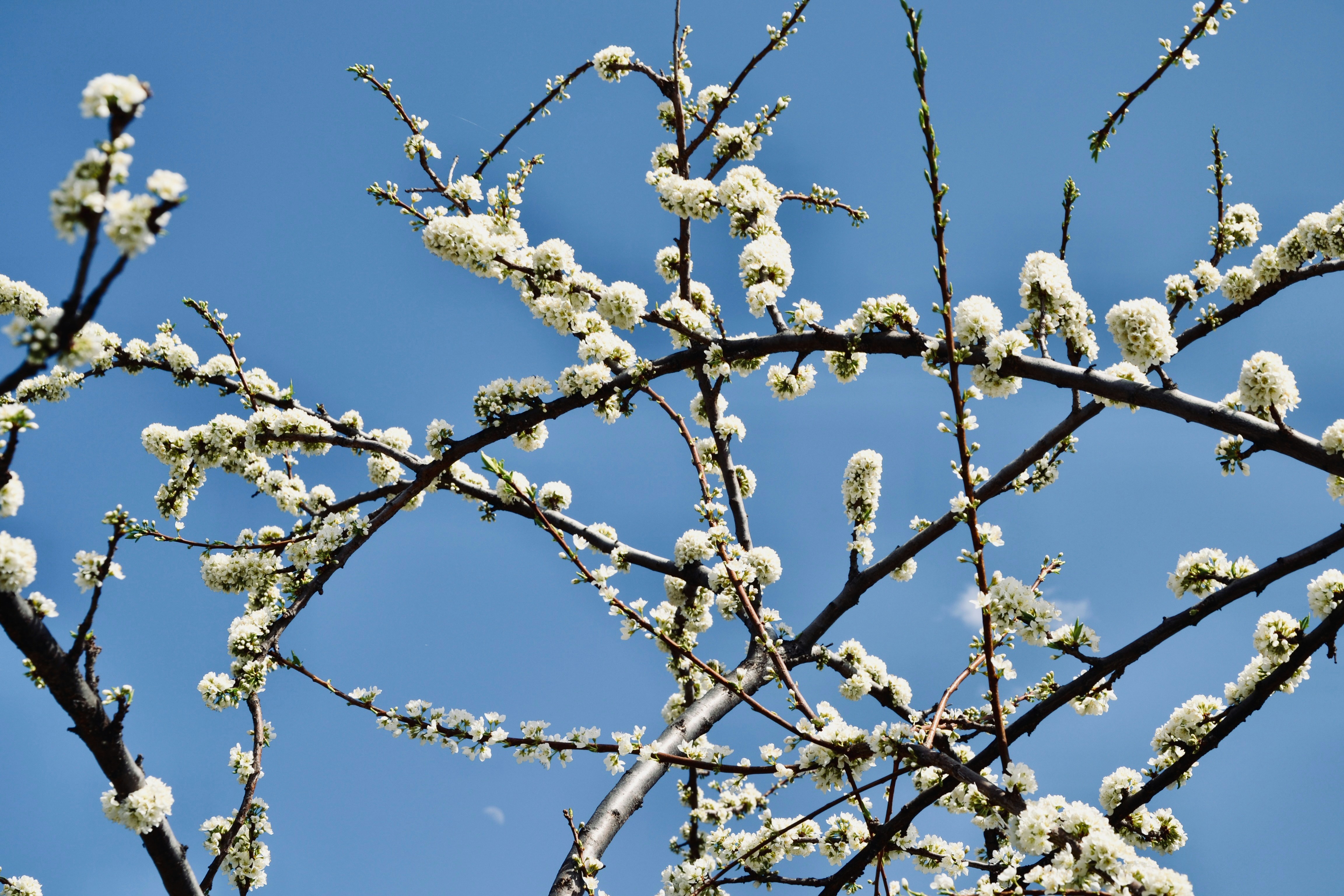 Photo by nastasya_slast