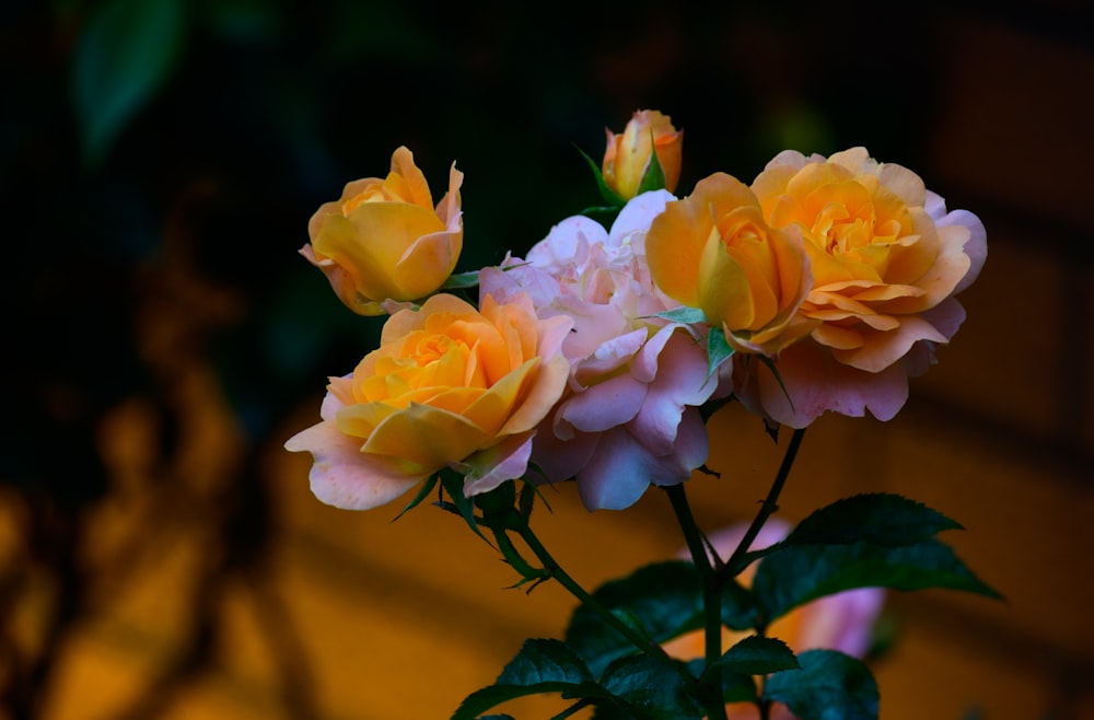 a vase filled with yellow and pink roses
