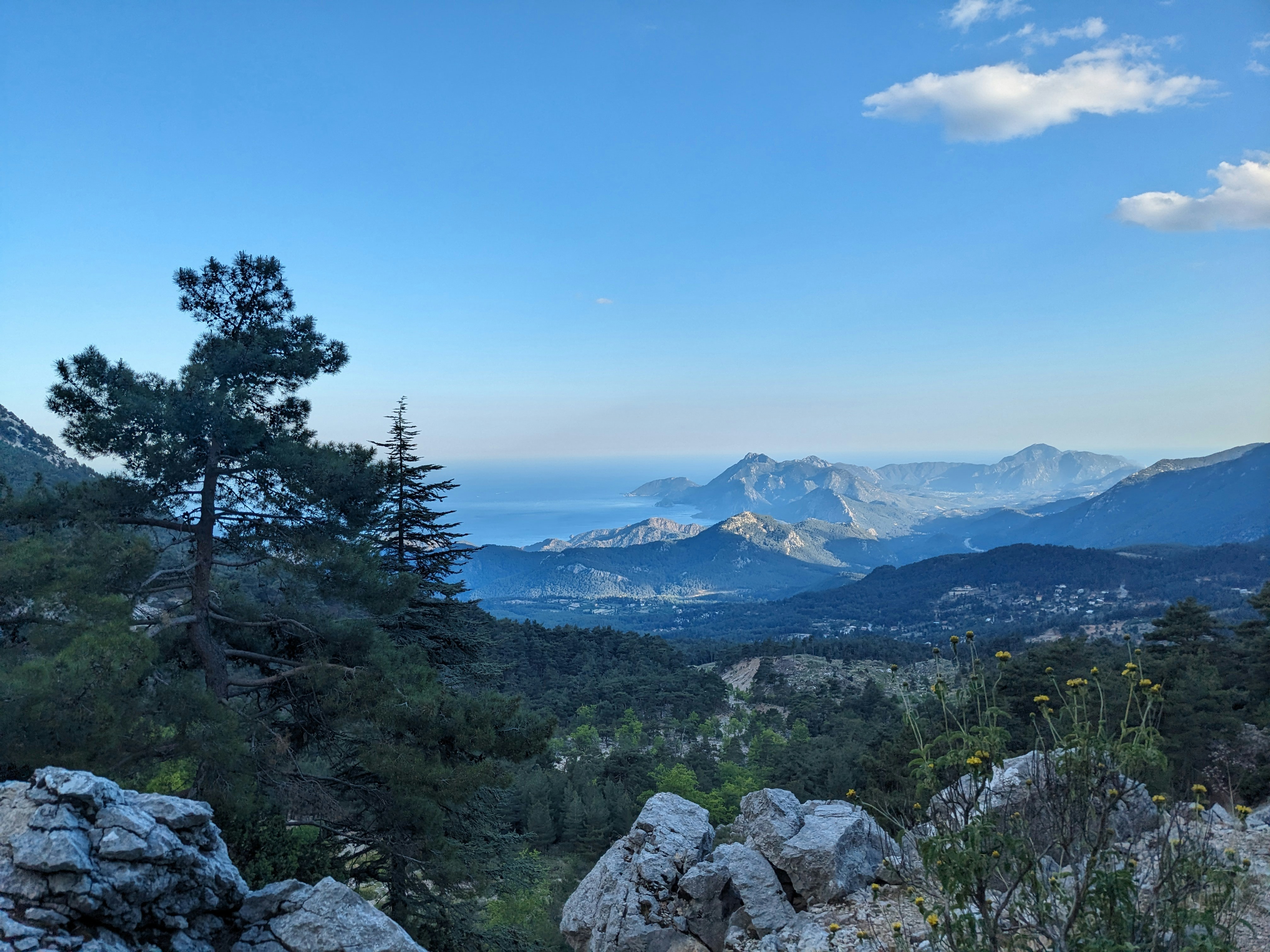 Photo by allenmilligun