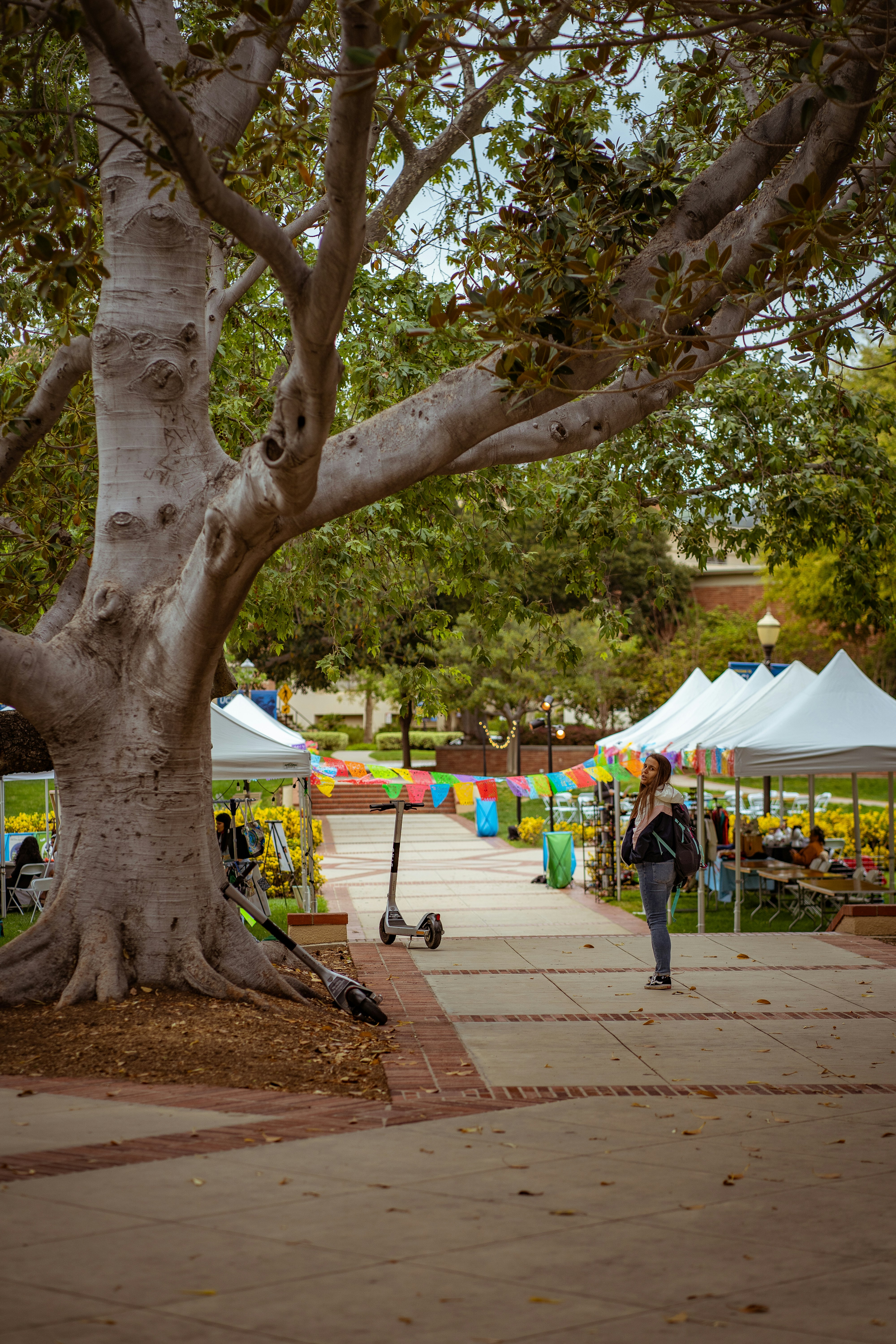 Photo by clementproust