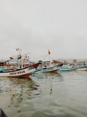 a group of boats floating on top of a body of water