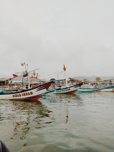 a group of boats floating on top of a body of water
