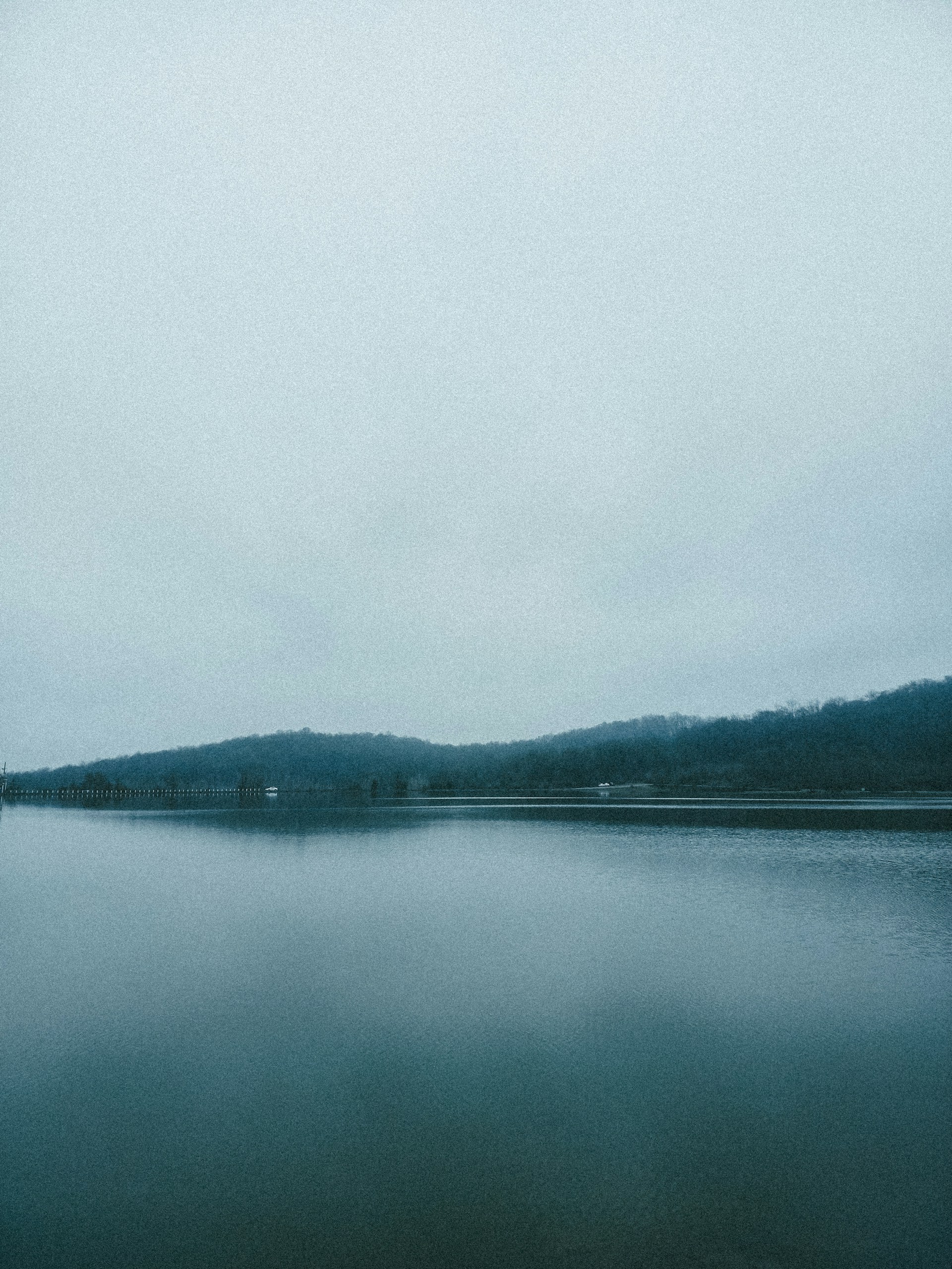 a body of water surrounded by a forest