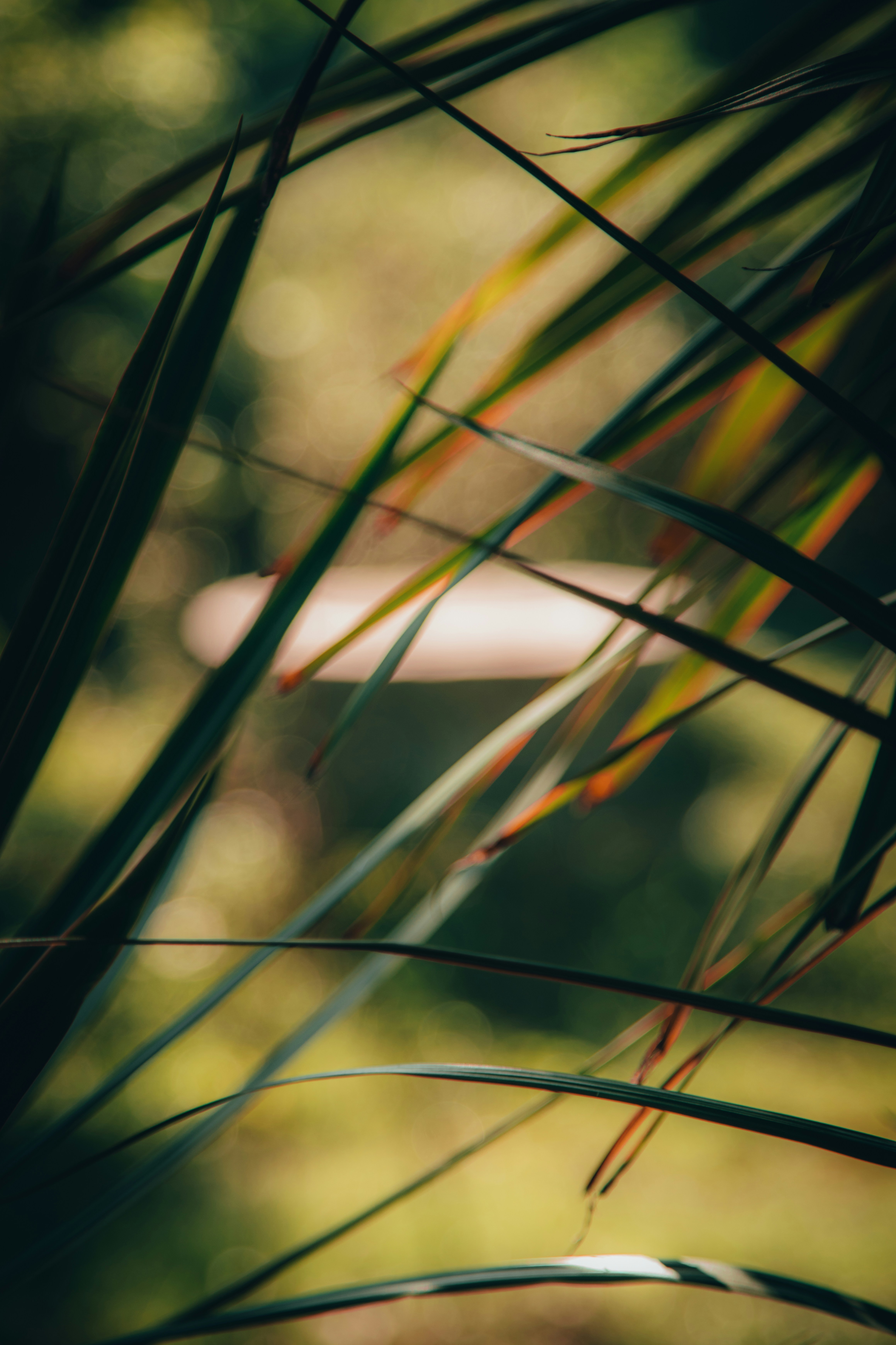 Photo by beingfarooq247365