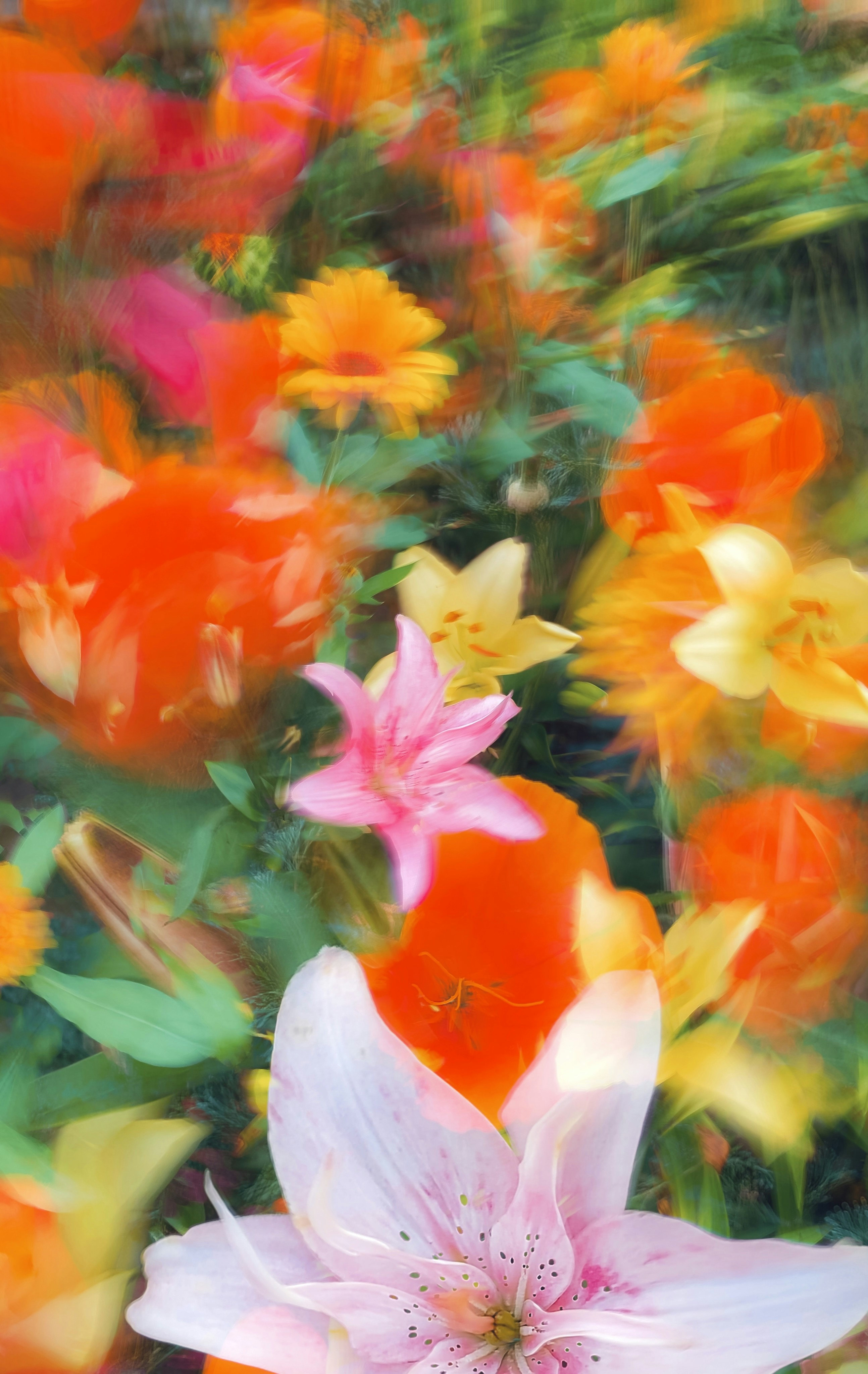 Photo by eugene_golovesov