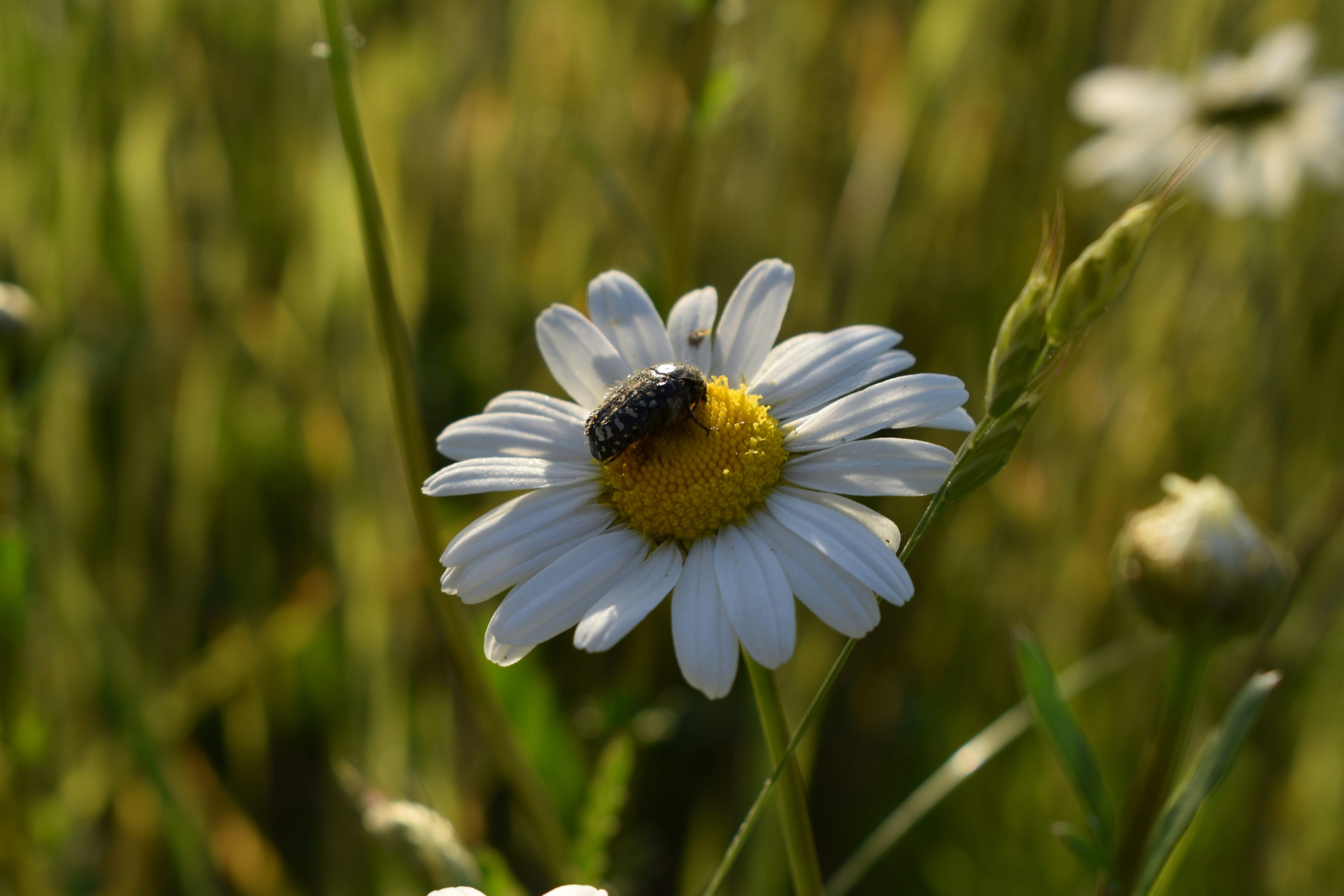Photo by ninaelisereiter