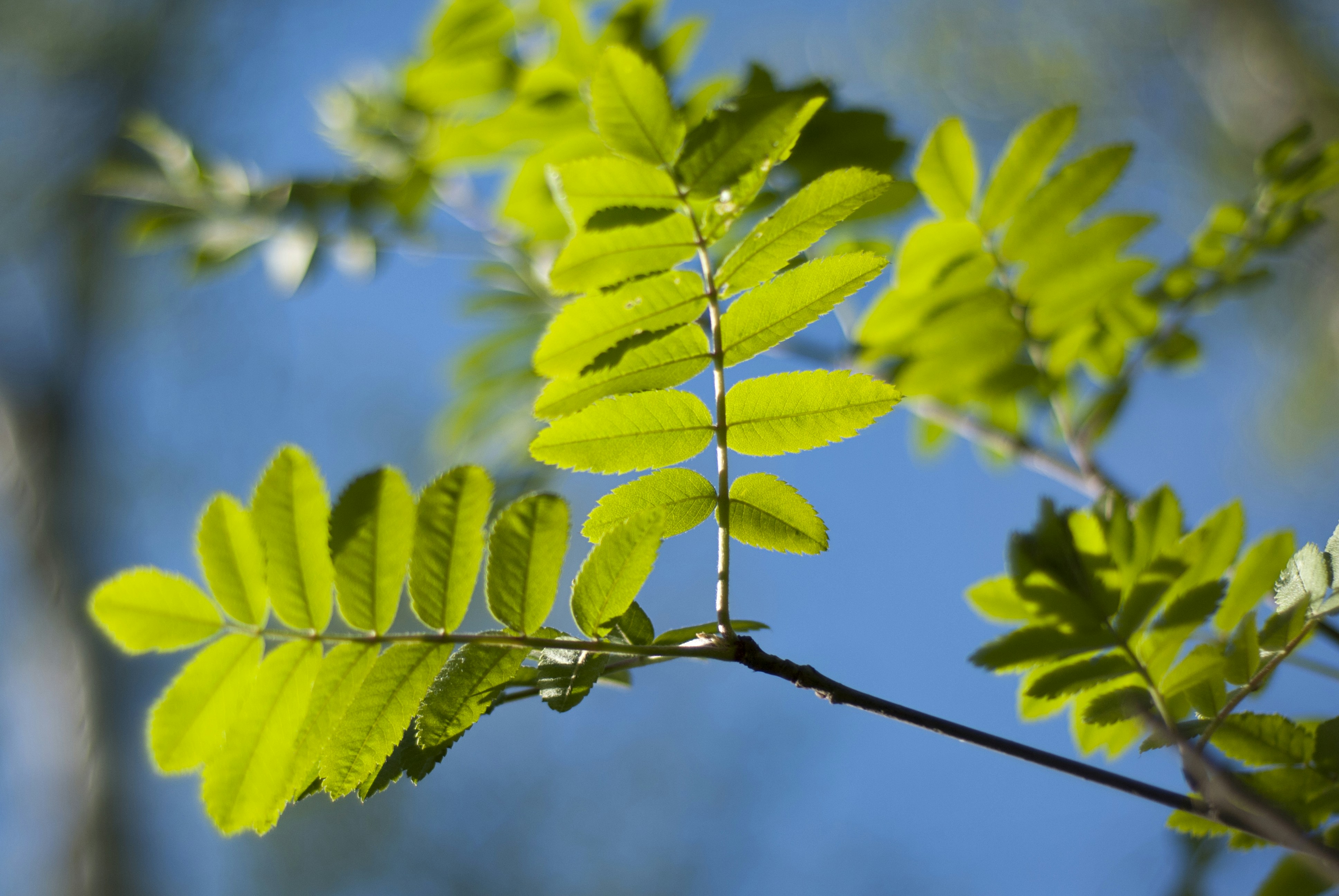 Photo by kovalskihelga