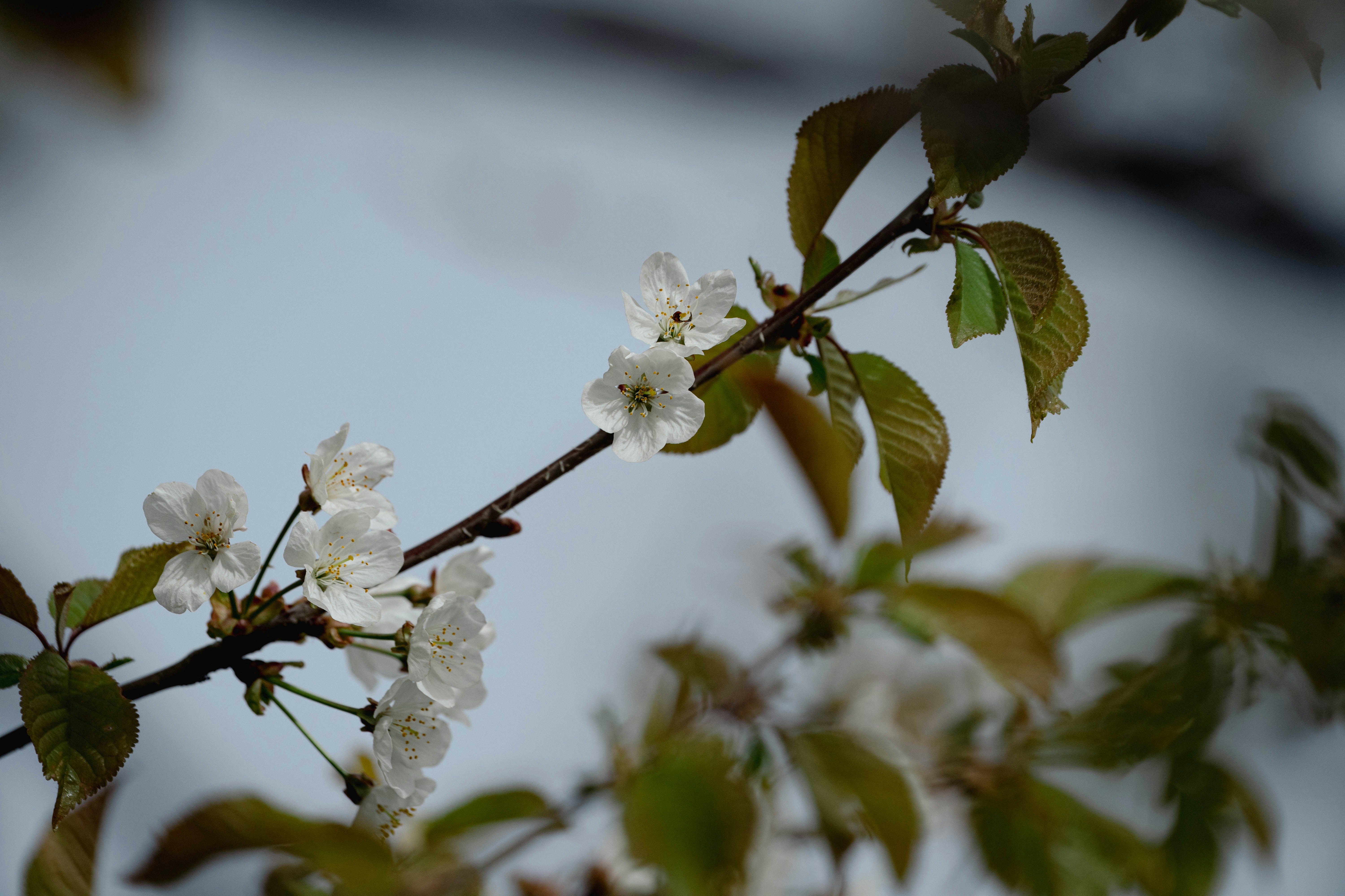 Photo by rathaa