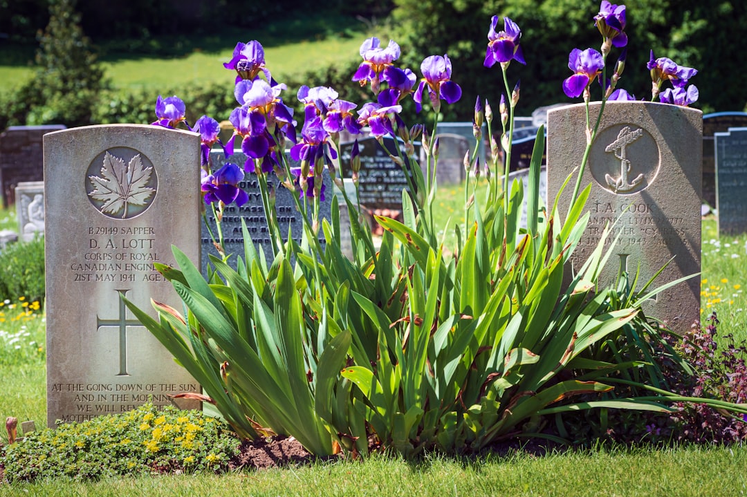 Commonwealth War Graves, Southwick Sussex UK