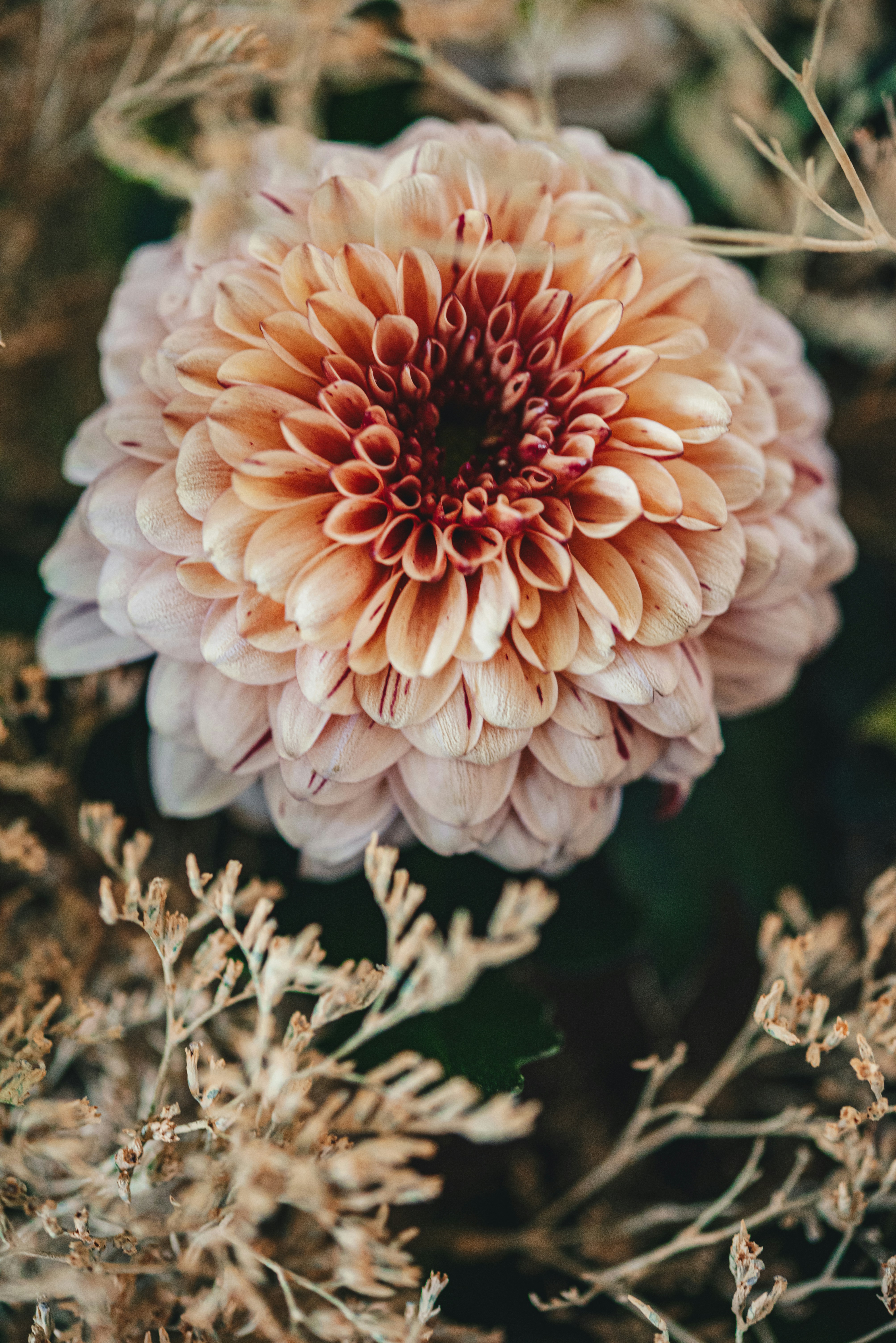 Photo by libby_penner