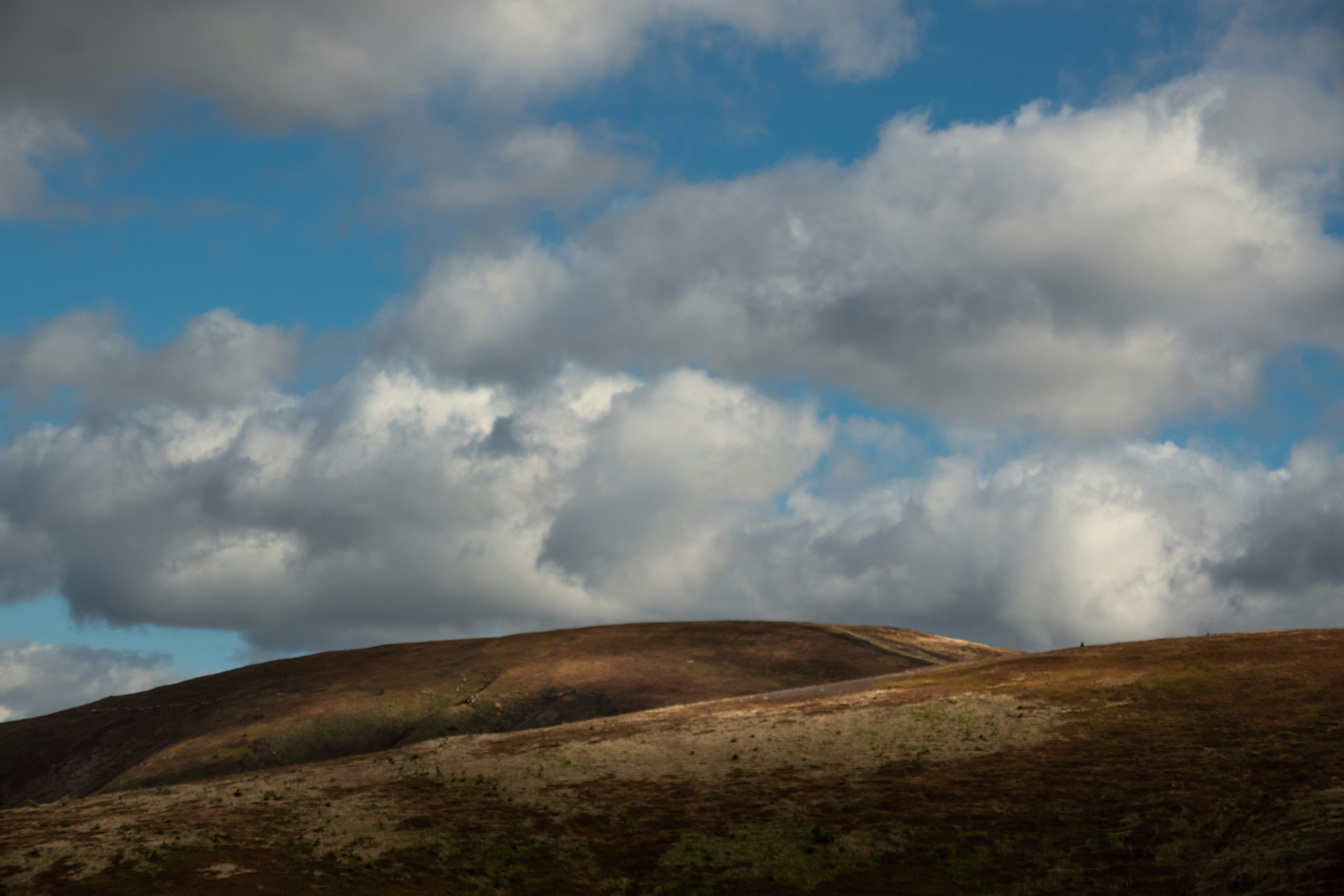 Photo by sevencolors