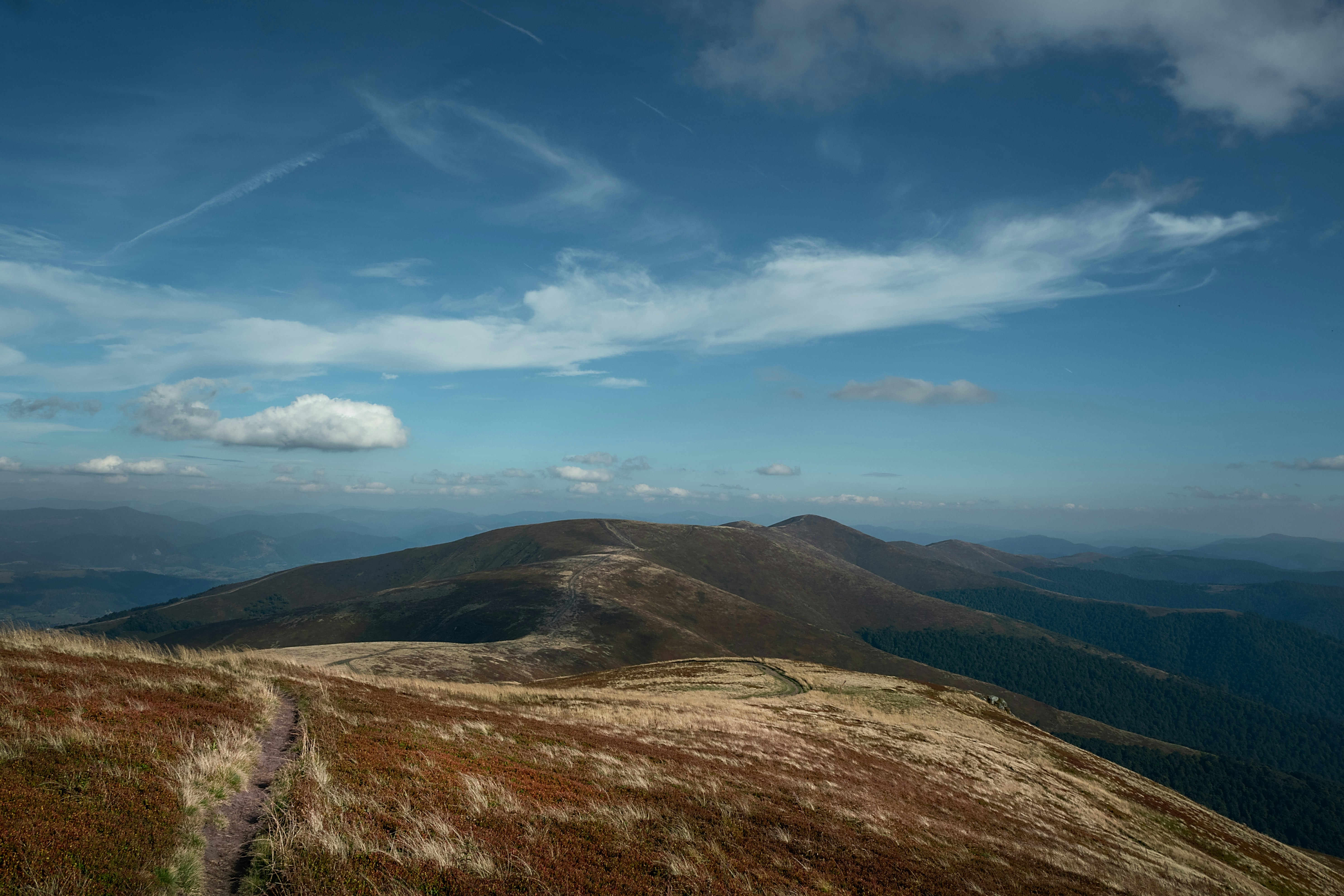 Photo by sevencolors