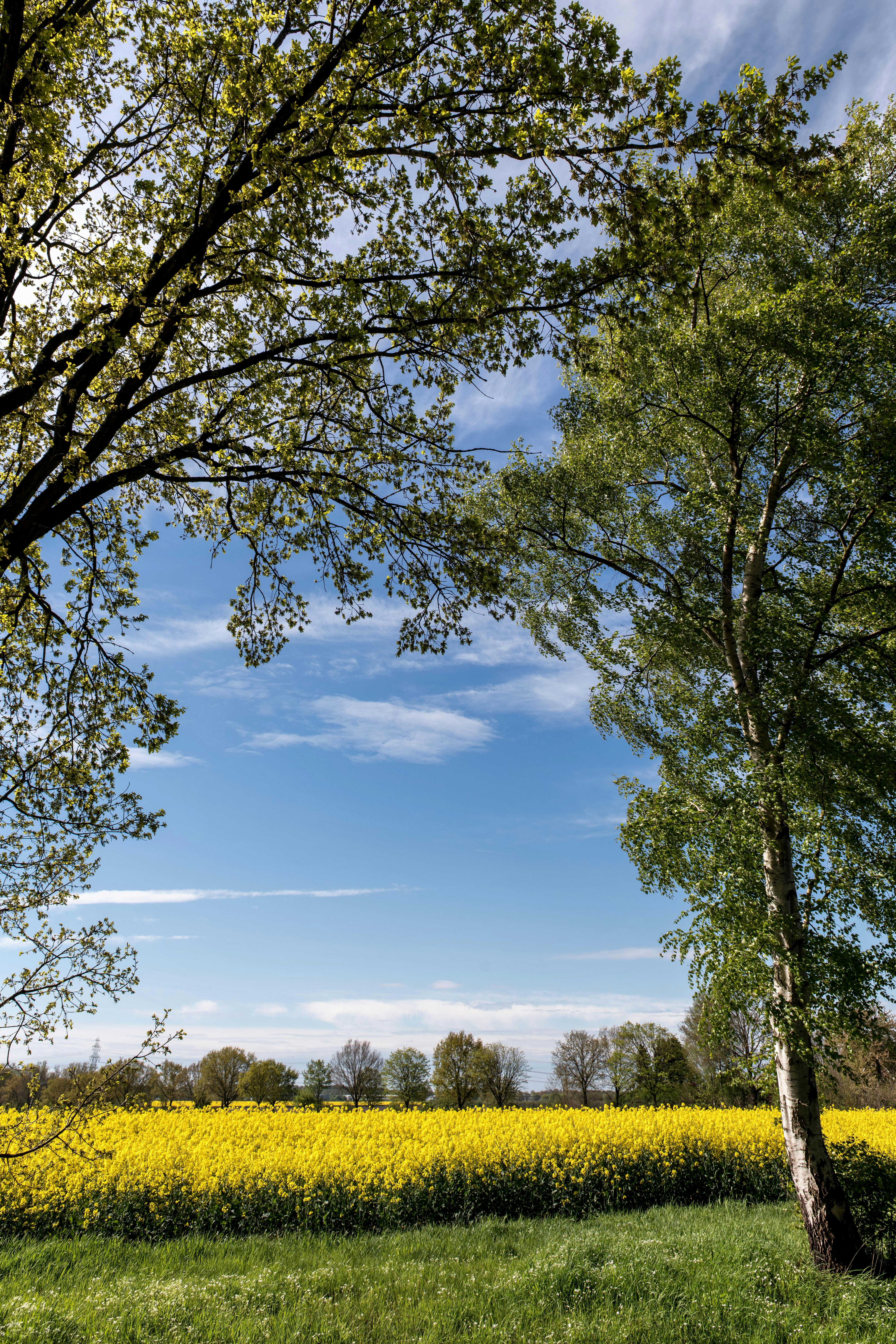 Photo by hamburgmeinefreundin