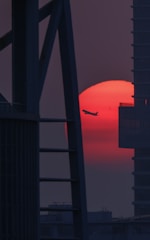 a plane is flying in front of the setting sun