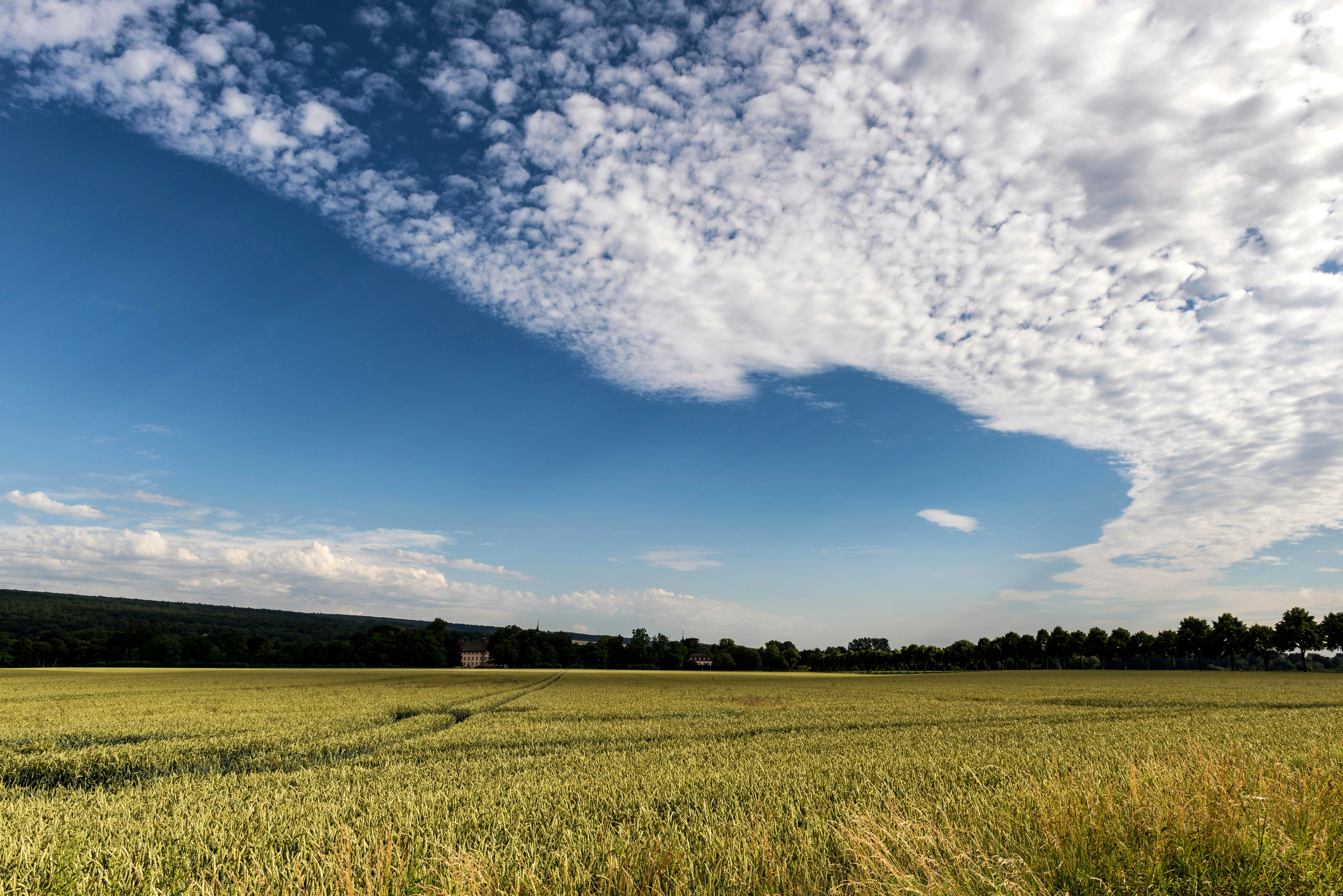 Photo by hamburgmeinefreundin