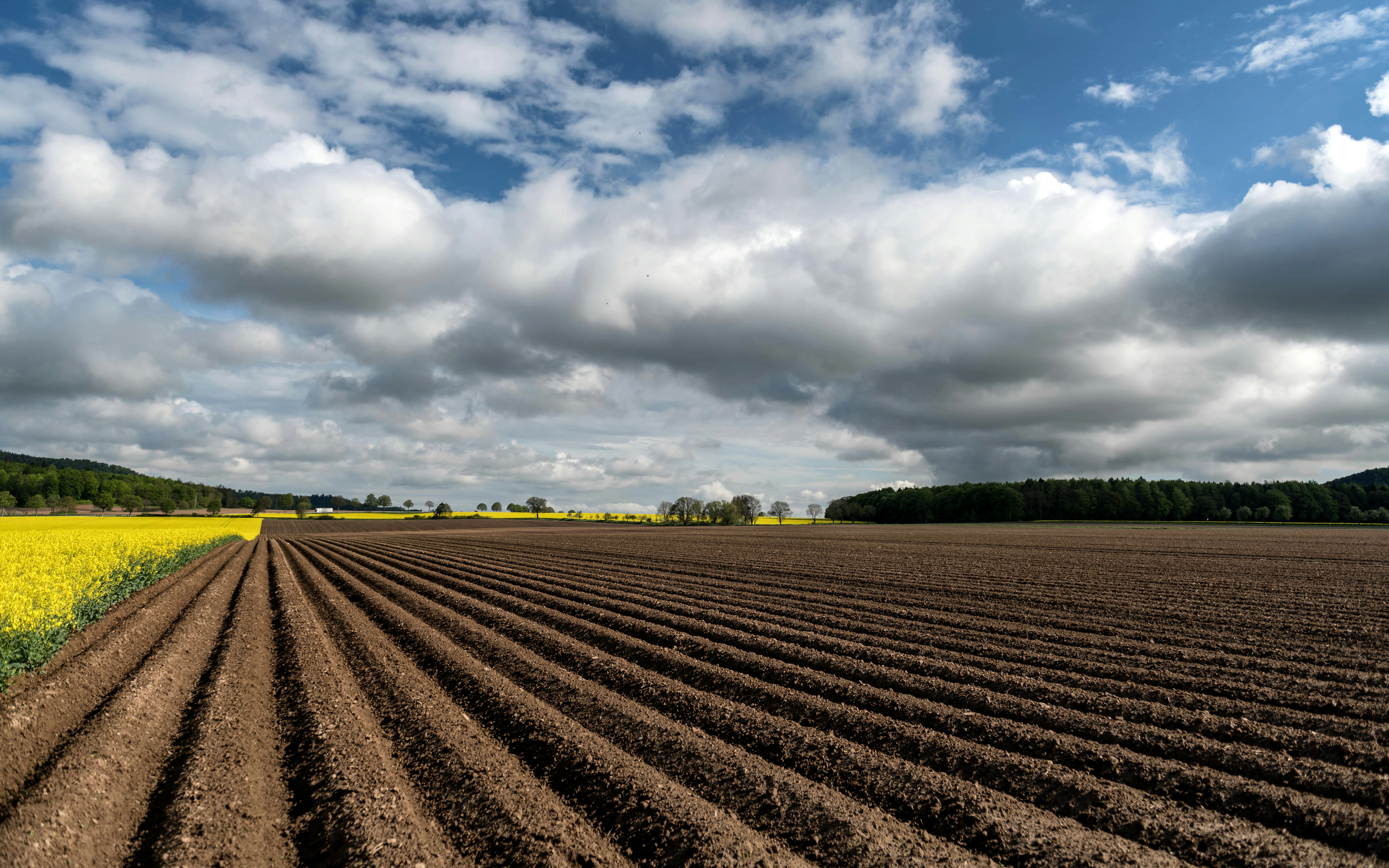 Photo by hamburgmeinefreundin