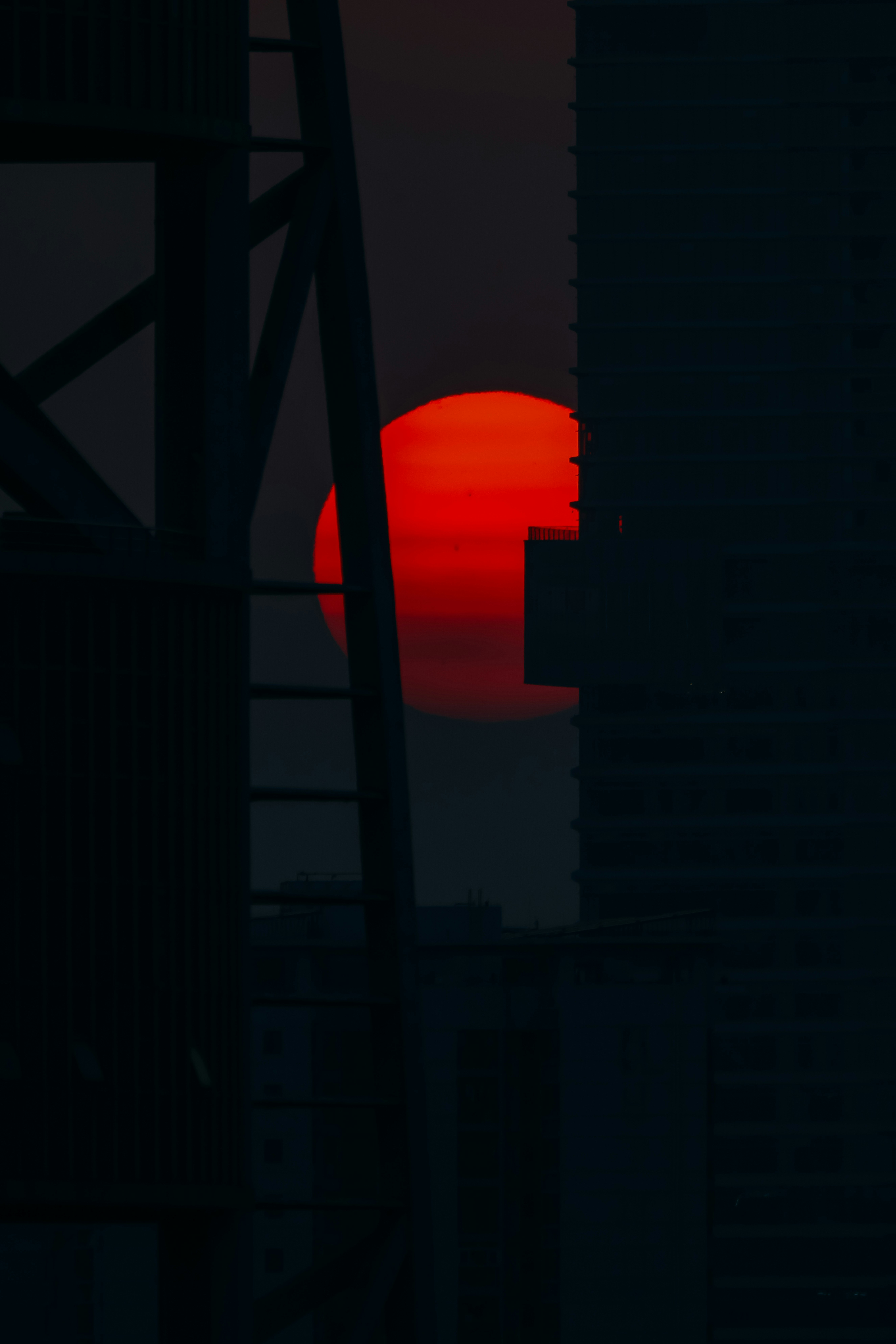 The City Century: How Megacities Became More Powerful Than Nations