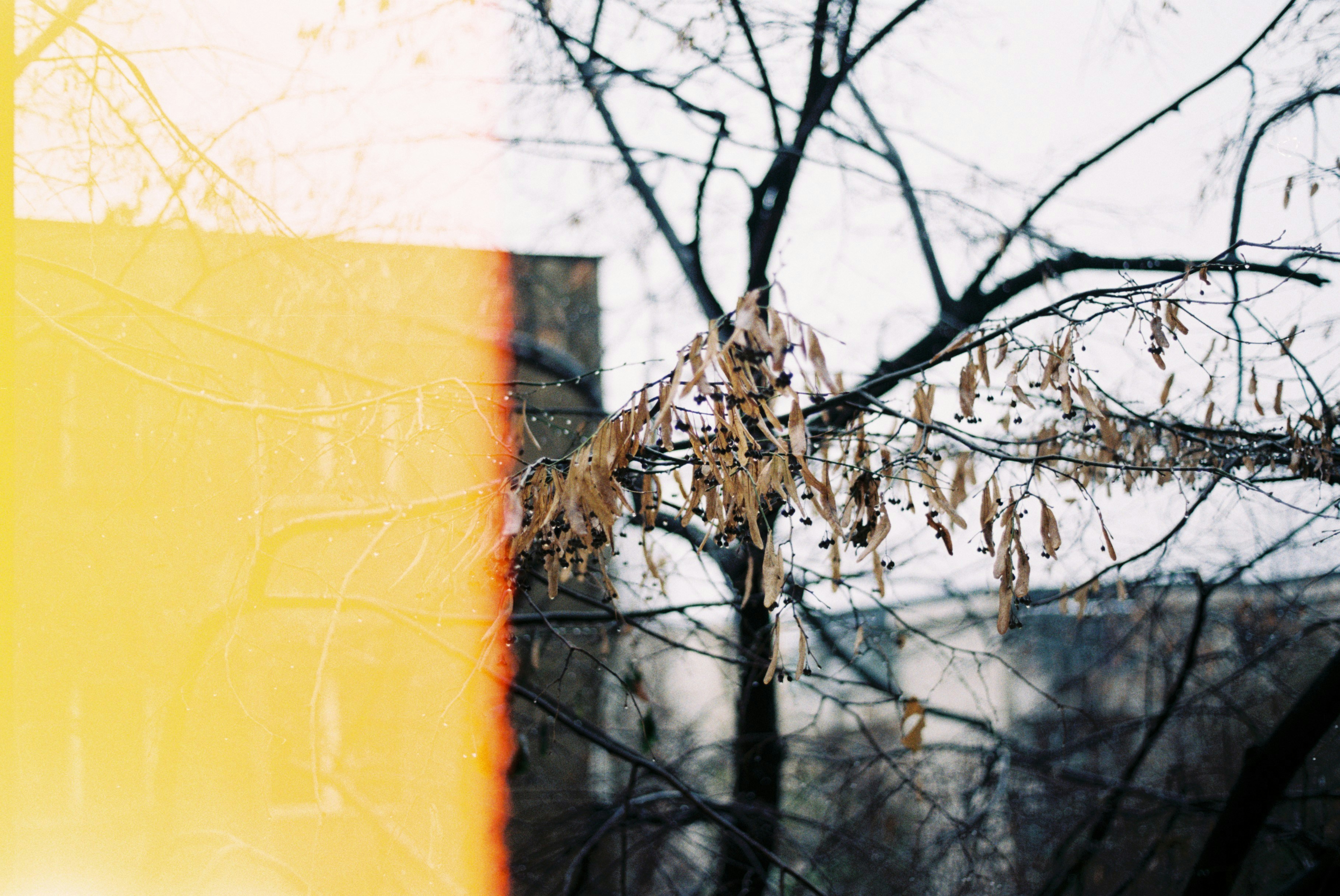 Photo by annemarria__