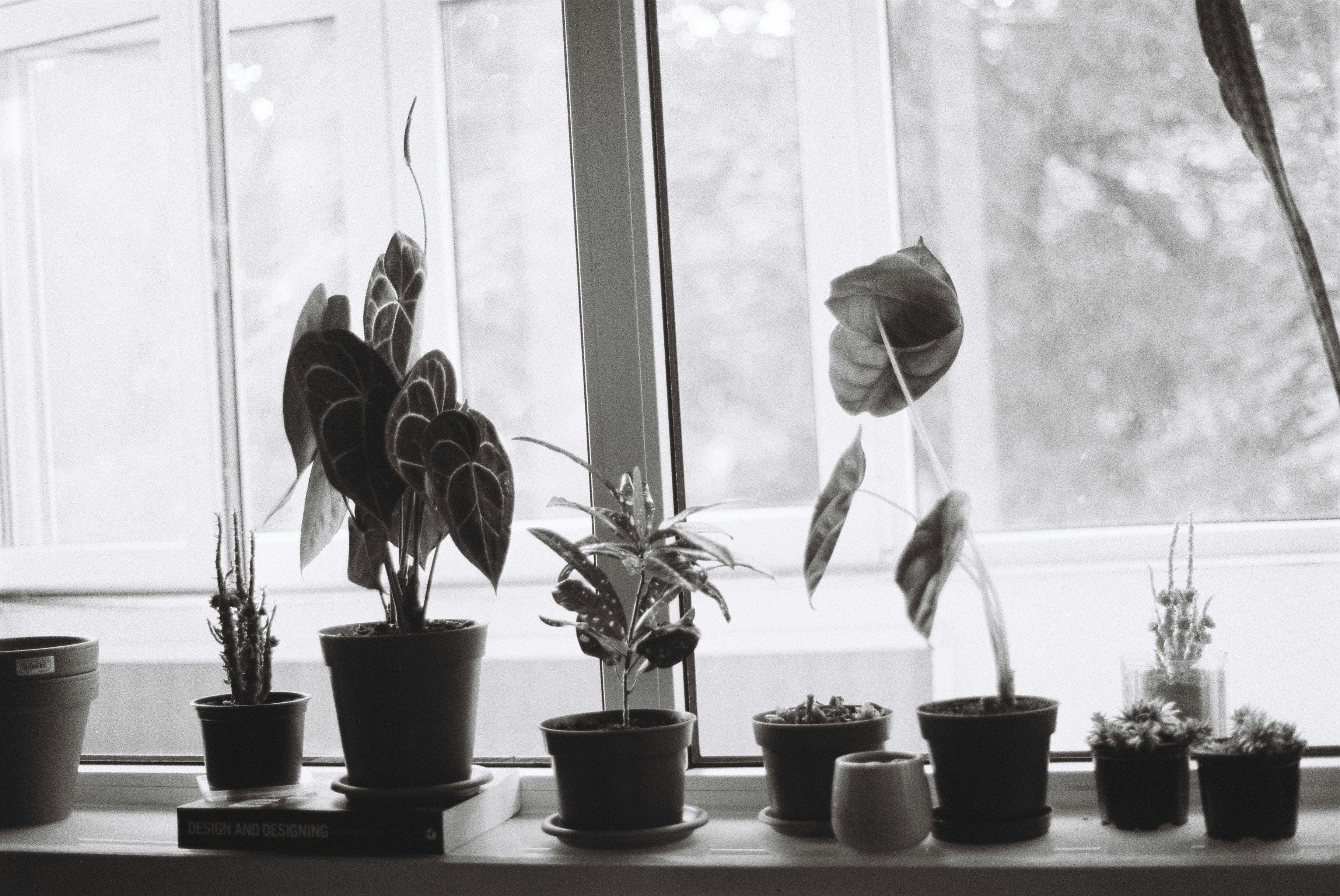 Photo by annemarria__