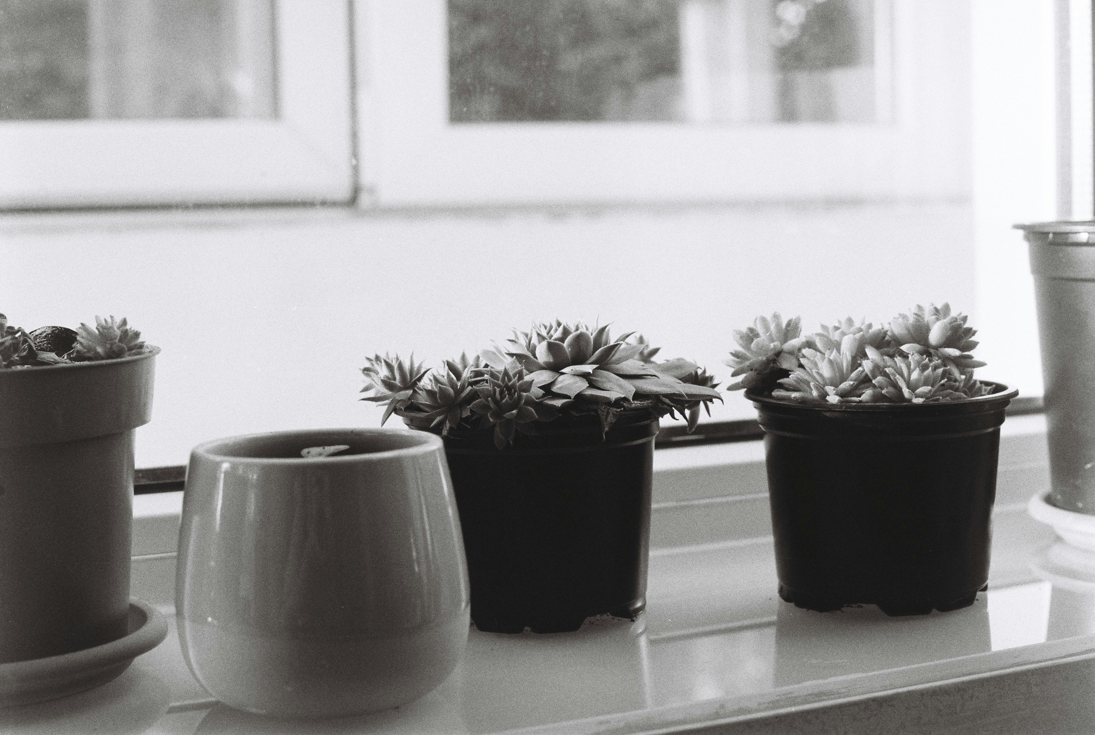 Photo by annemarria__