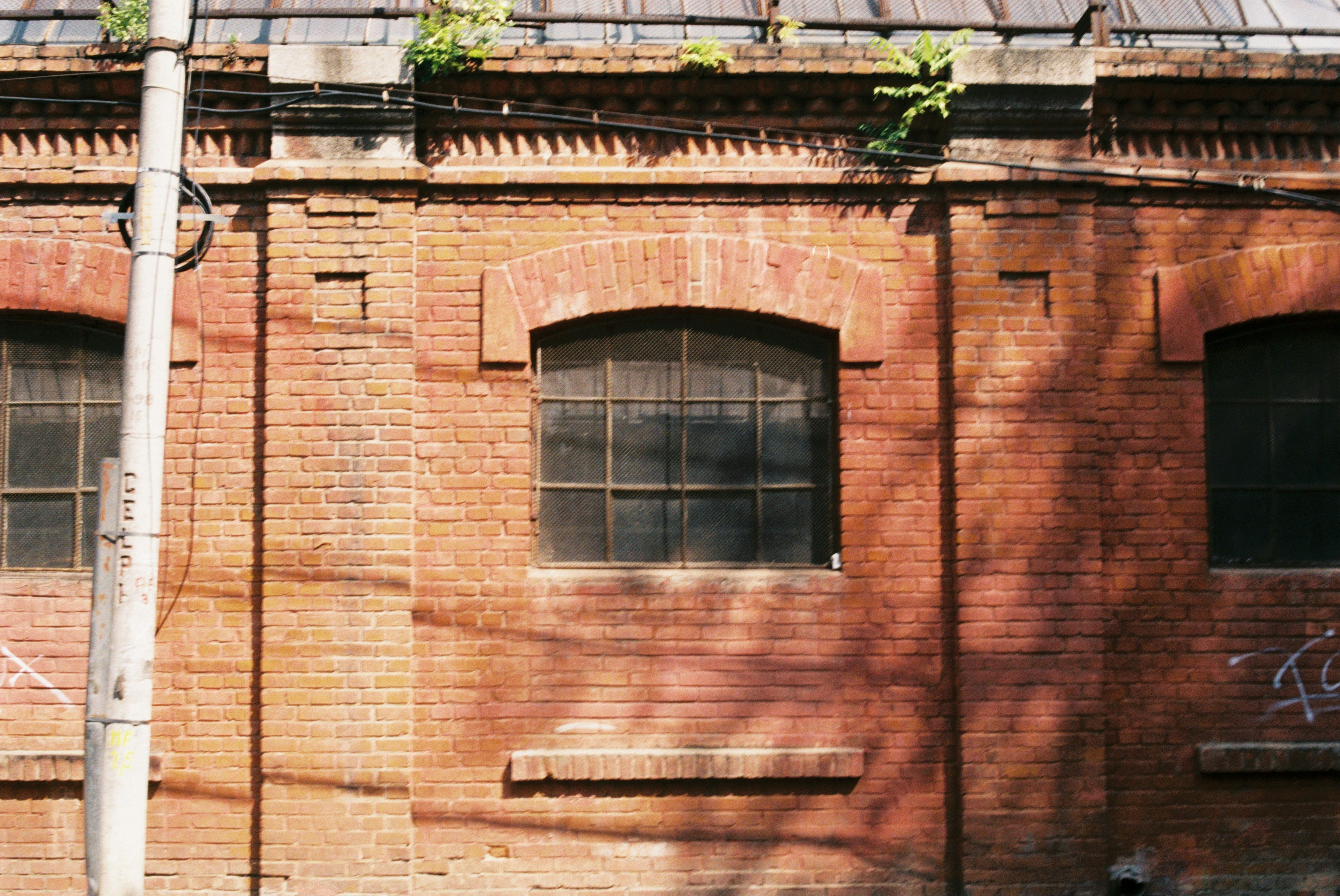 Photo by annemarria__