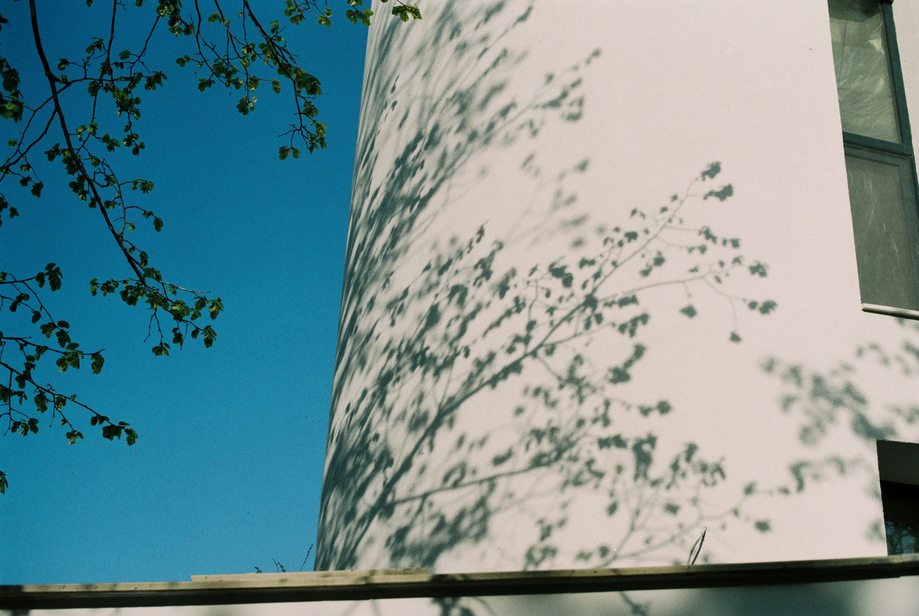 Photo by annemarria__