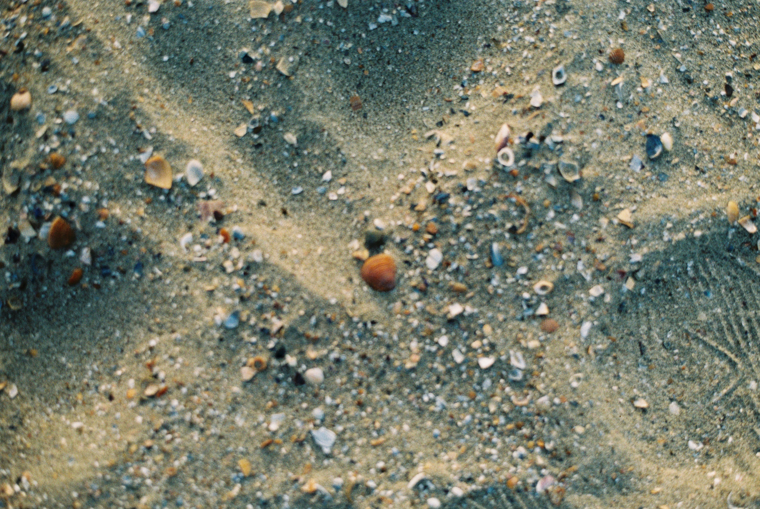 Photo by annemarria__