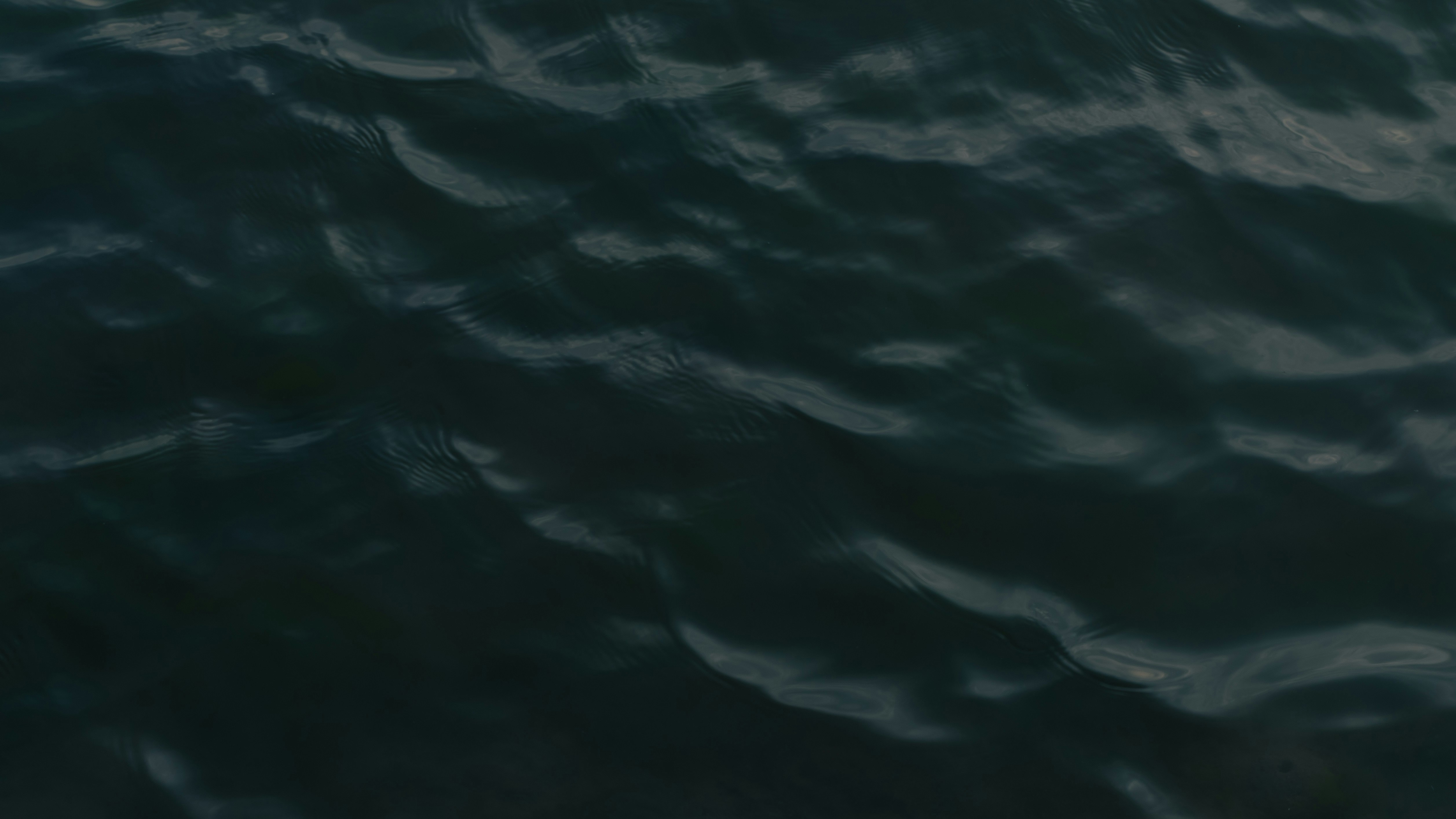 a bird flying over a body of water