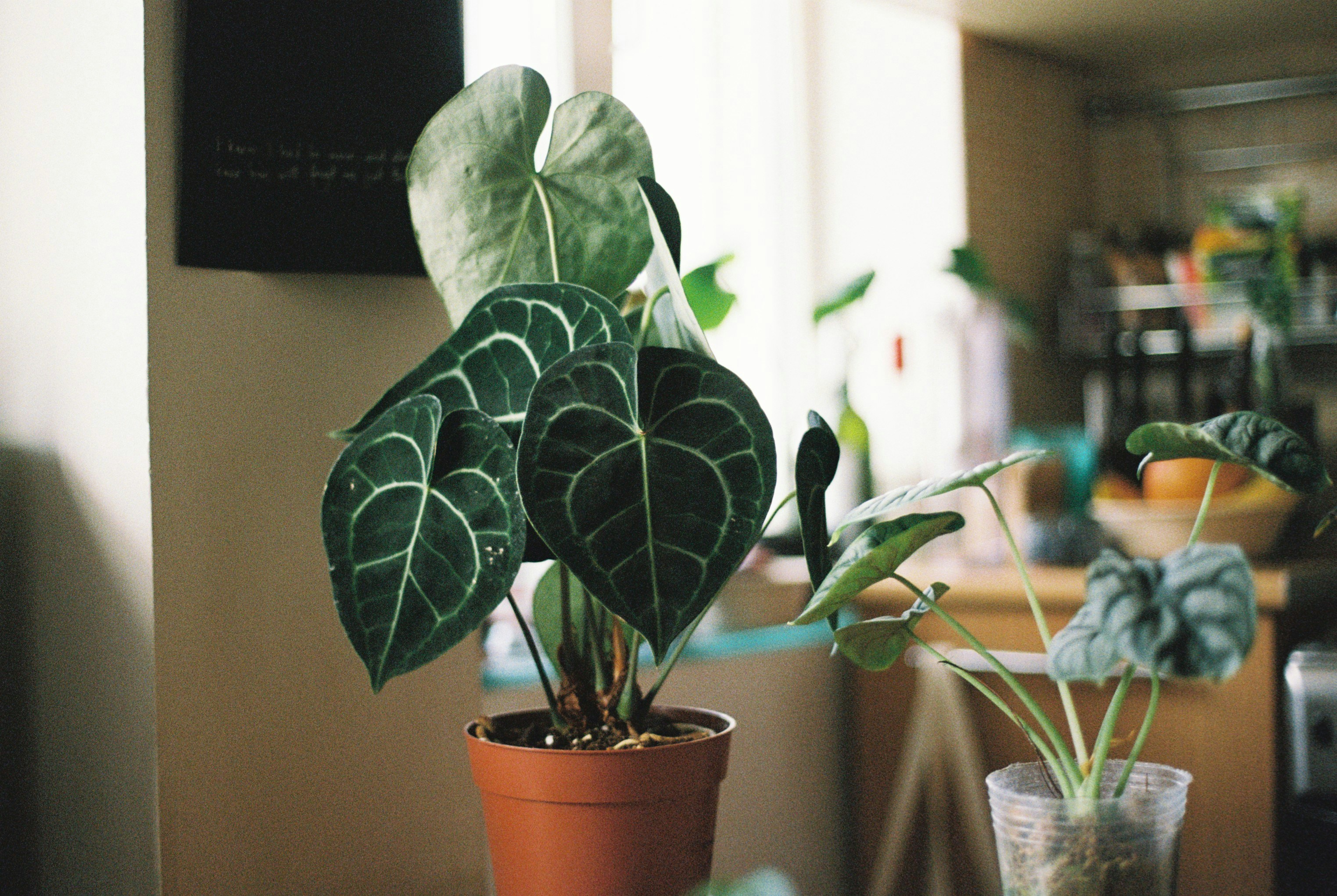 Photo by annemarria__