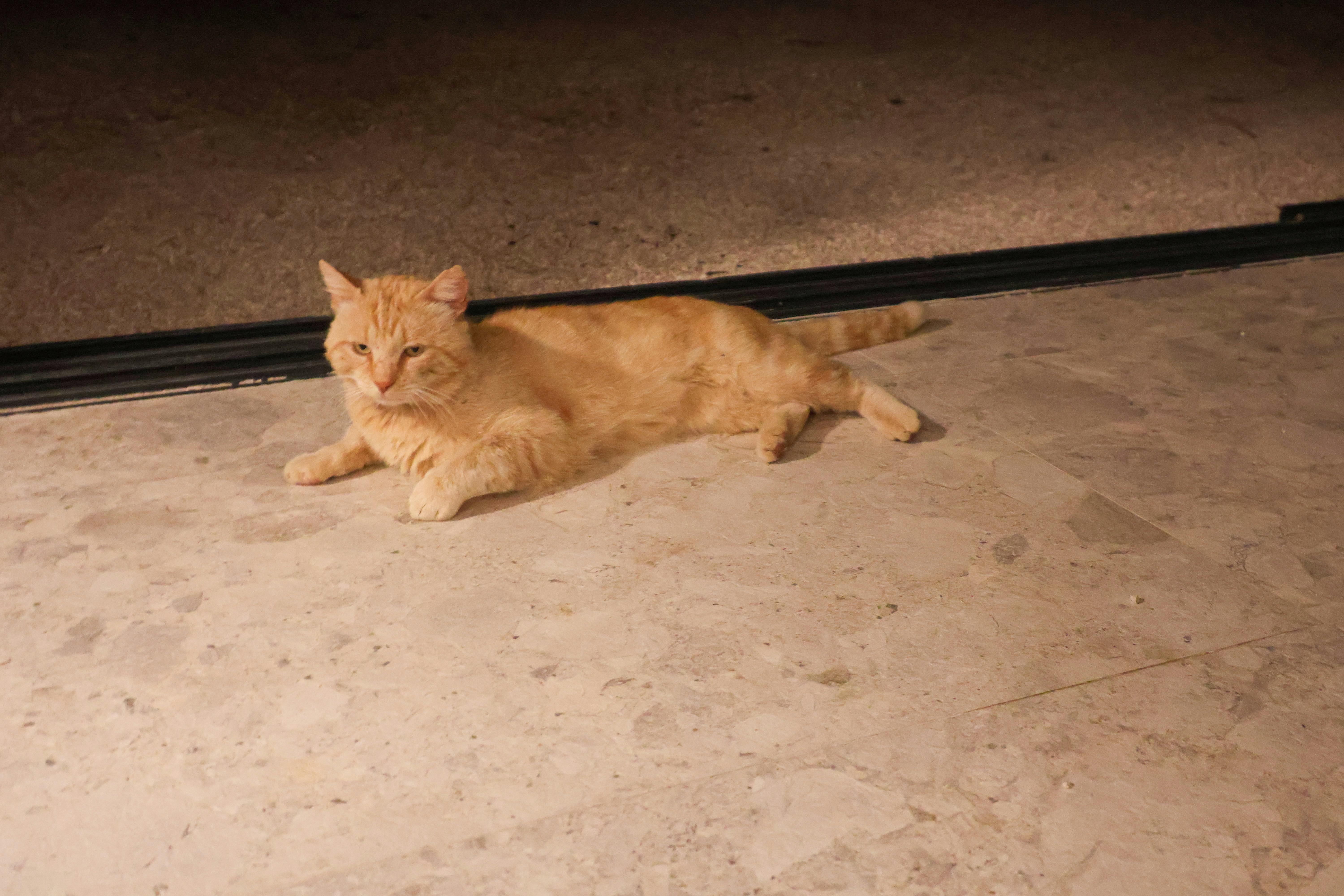 Photo by traveleroohlala