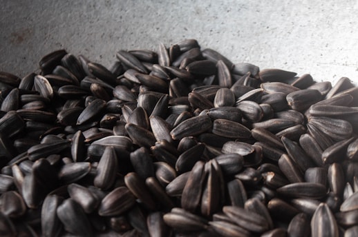a pile of sunflower seeds sitting on top of a table