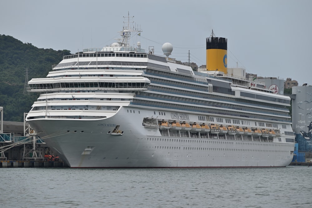 a large cruise ship docked at a dock