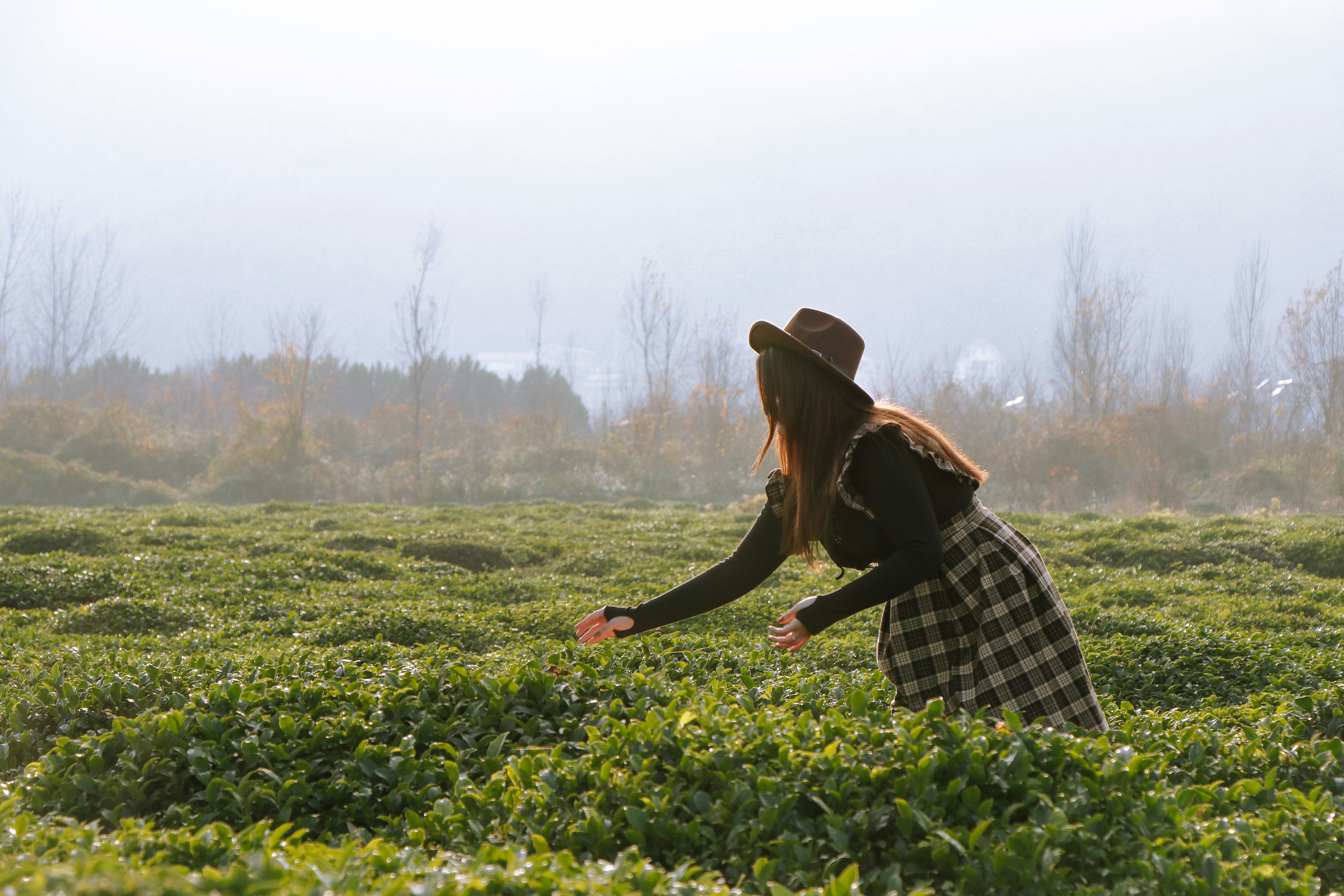 Photo by maryam_nikdel