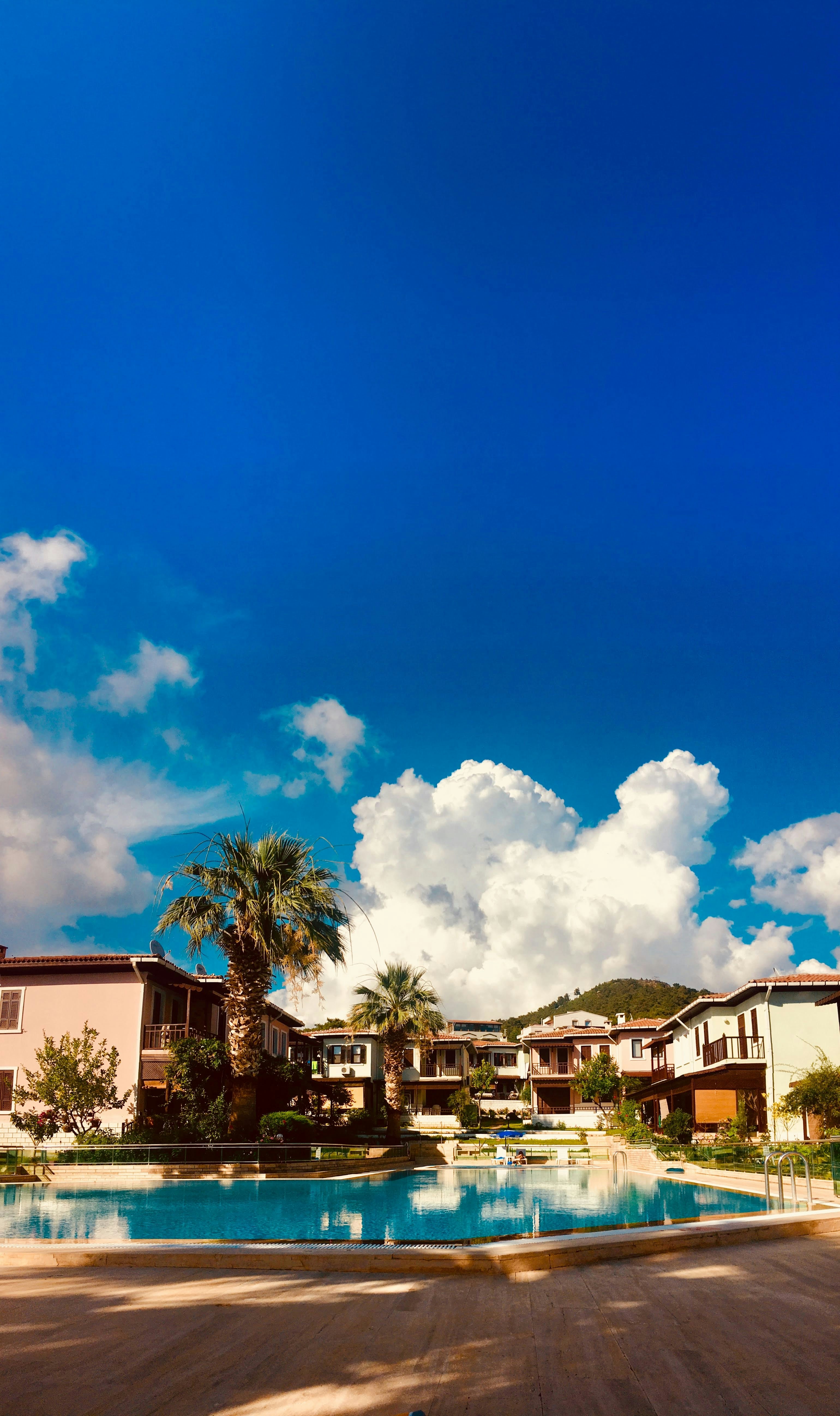 Photo by atesyurttas