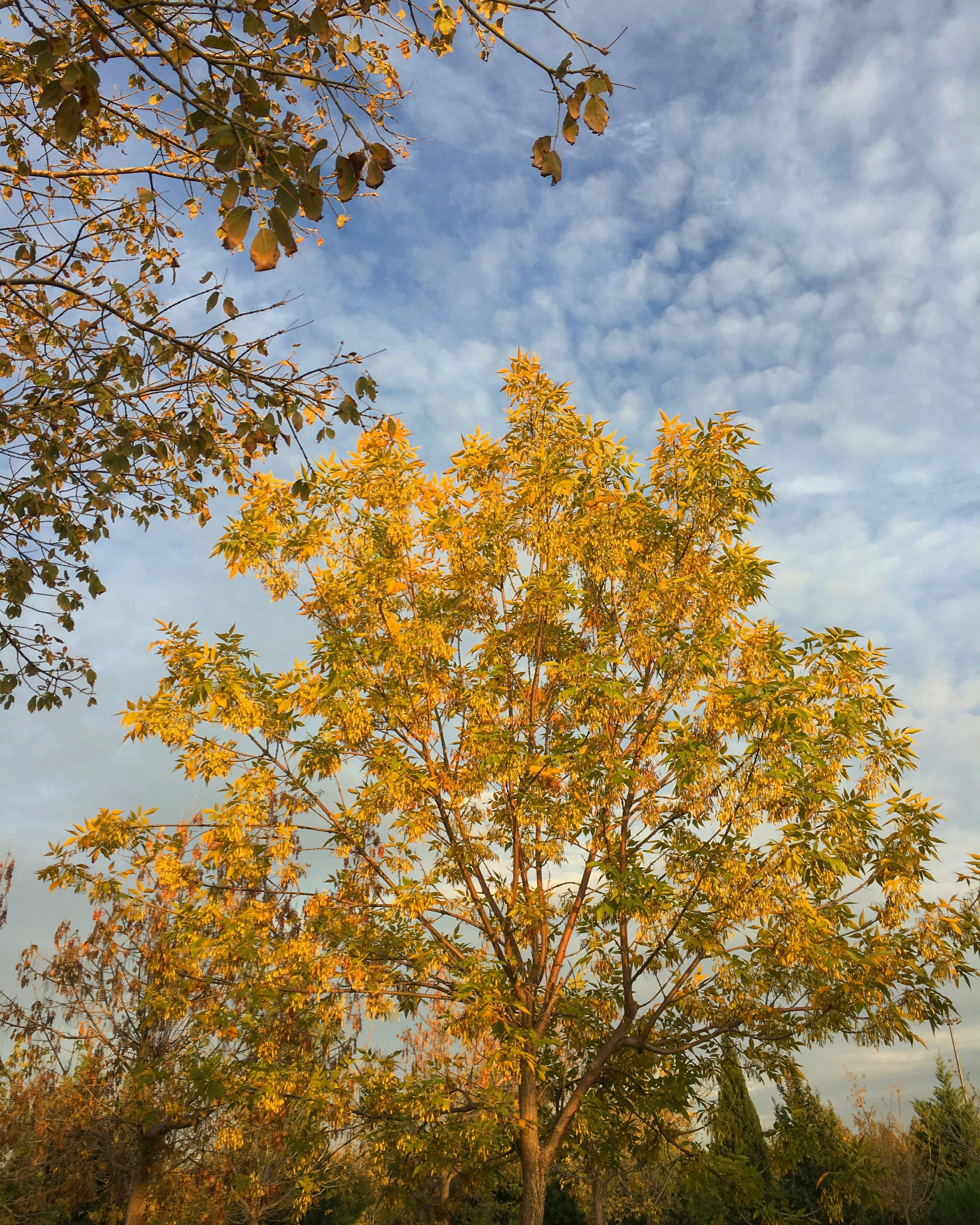 Photo by atesyurttas